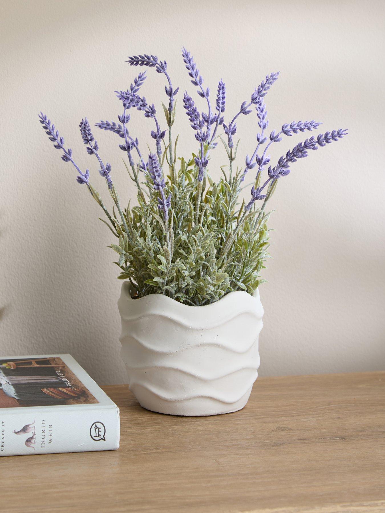 Image 1 of 7 of The Very Collection 33cm Lavender In Wavy Cement Pot