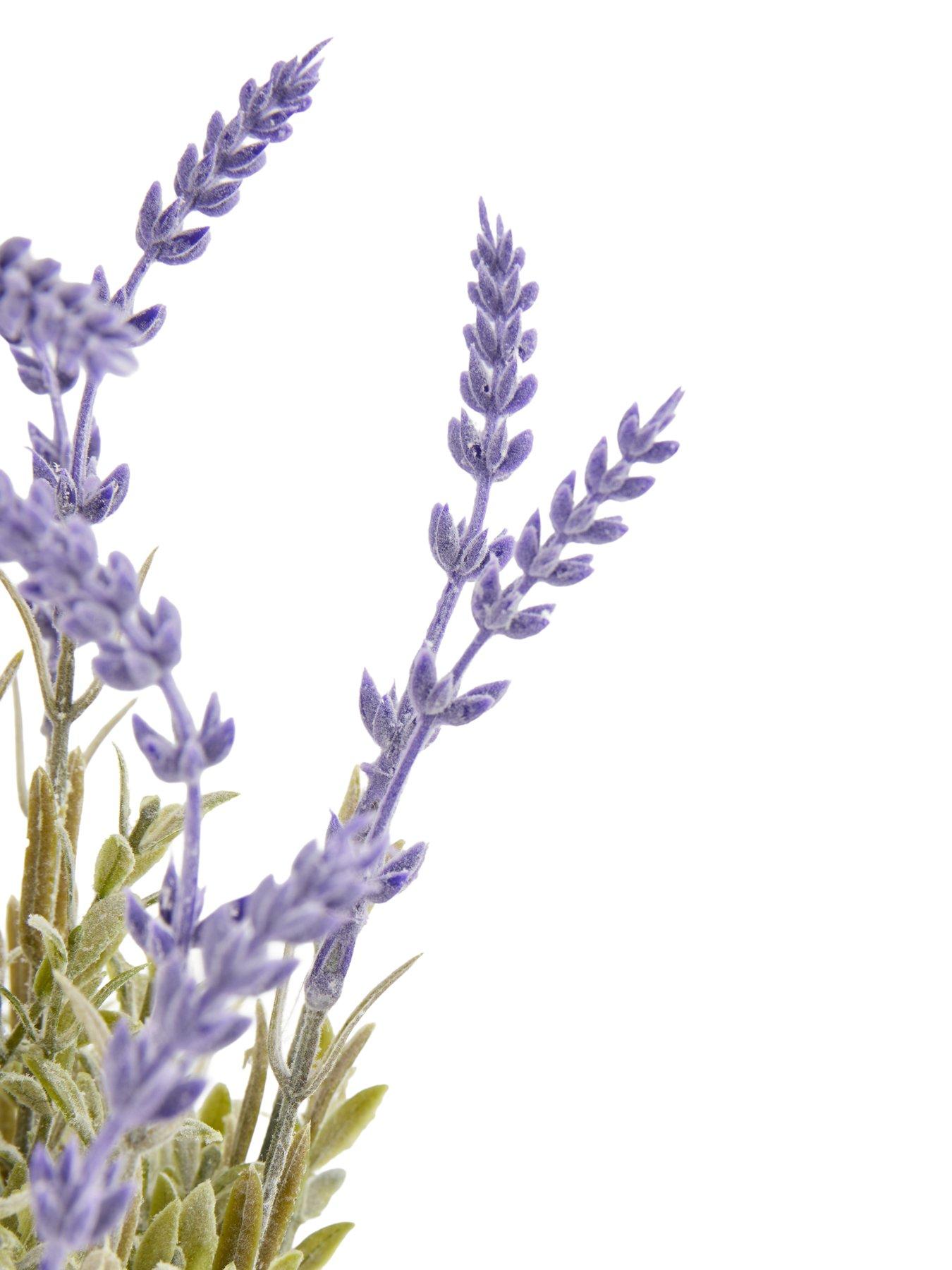 Image 5 of 7 of The Very Collection 33cm Lavender In Wavy Cement Pot