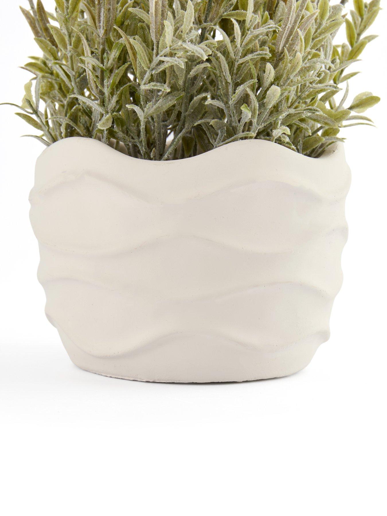 Image 6 of 7 of The Very Collection 33cm Lavender In Wavy Cement Pot