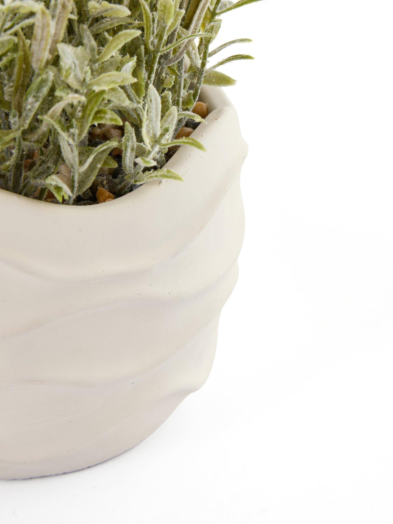 Image 7 of 7 of The Very Collection 33cm Lavender In Wavy Cement Pot