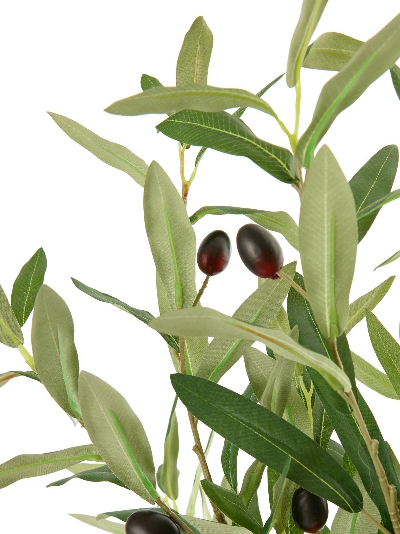 Image 6 of 7 of The Very Collection 3pk 86cm Olive Branches Bunch