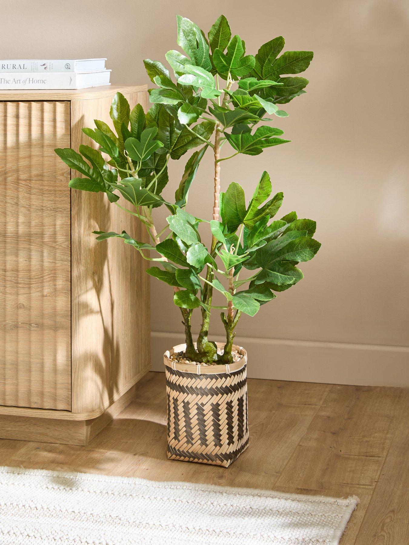 The Very Collection 90cm Fig Tree In Bamboo Basket