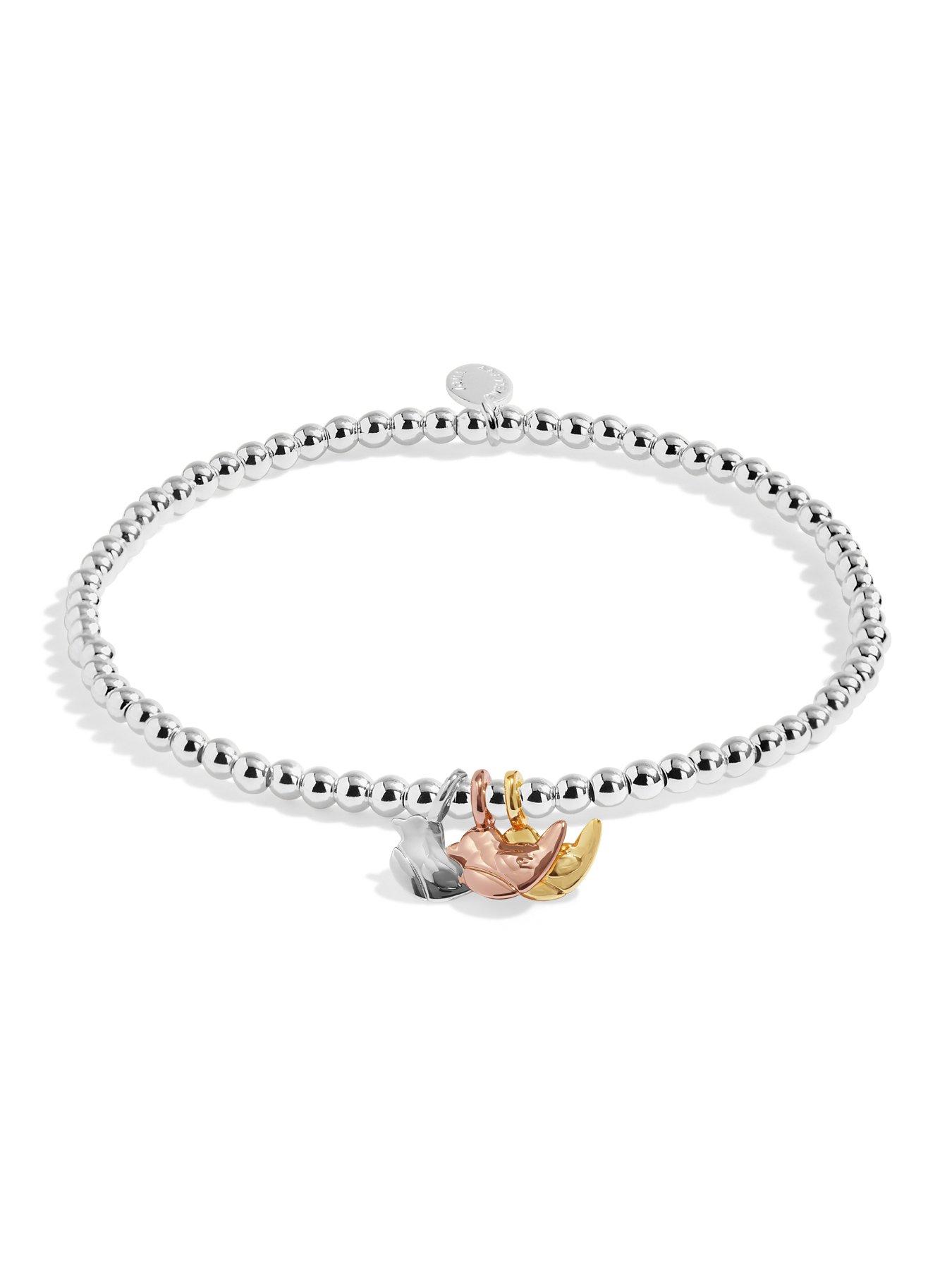 Image 3 of 5 of Joma Jewellery A LITTLE CHARMED MOMENTS 'ROBINS APPEAR WHEN LOVED ONES ARE NEAR' Bracelet