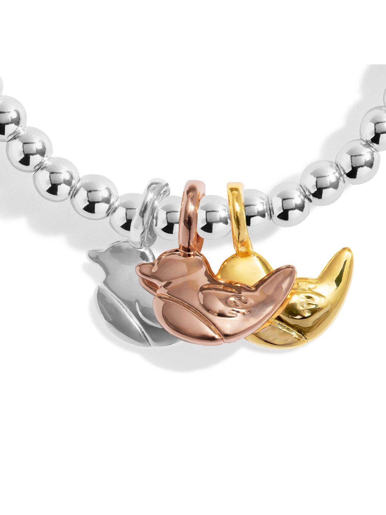 Image 4 of 5 of Joma Jewellery A LITTLE CHARMED MOMENTS 'ROBINS APPEAR WHEN LOVED ONES ARE NEAR' Bracelet