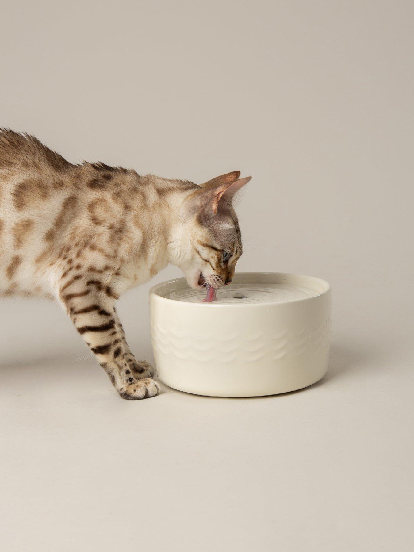 Scruffs Scruffs Icon Cat Fountain - 20cm