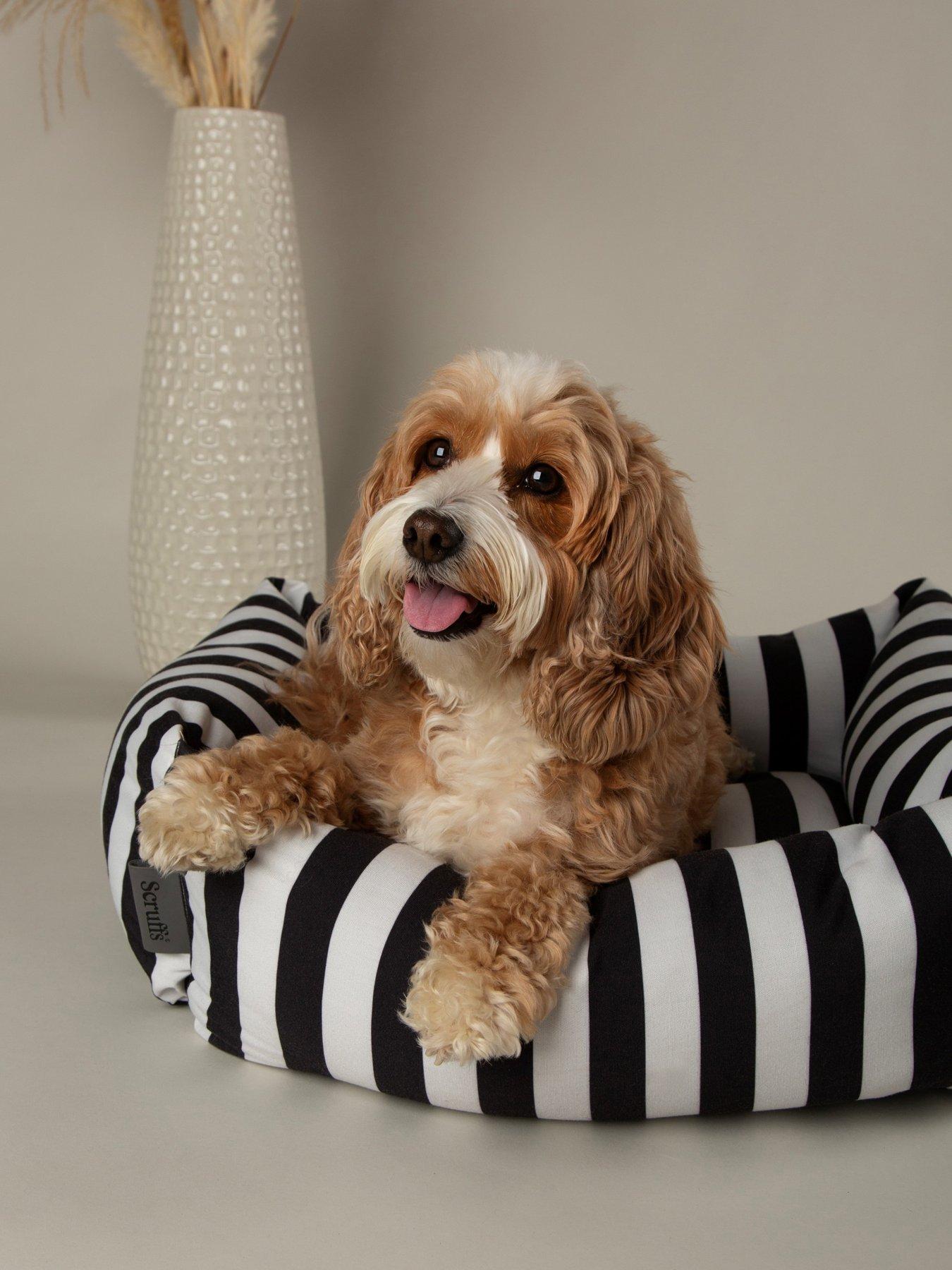 Scruffs Scruffs Amalfi Box Bed (M) - Extra Large in Black