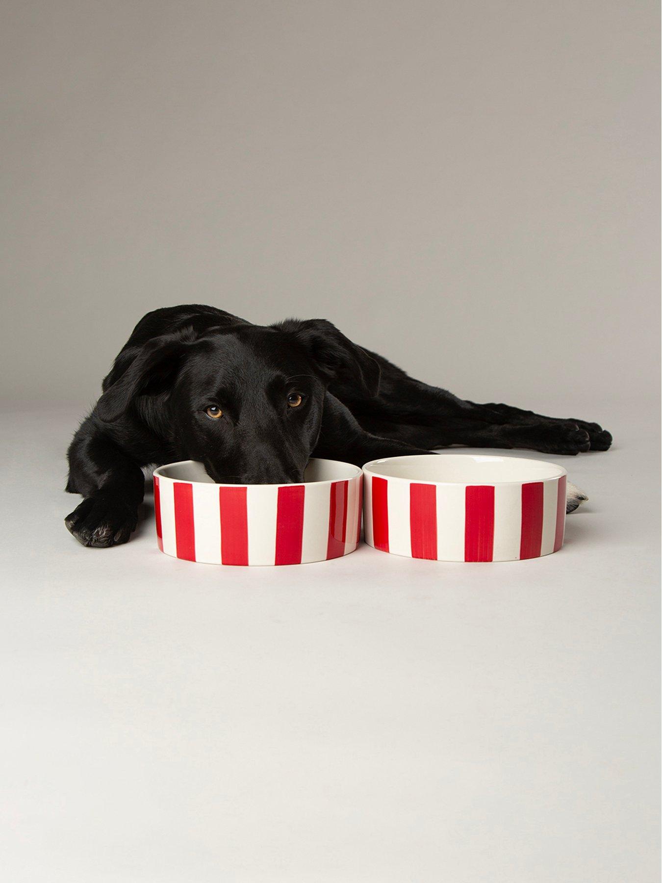 Scruffs Scruffs Amalfi Stripe 2pc Food Bowl Set - 19cm