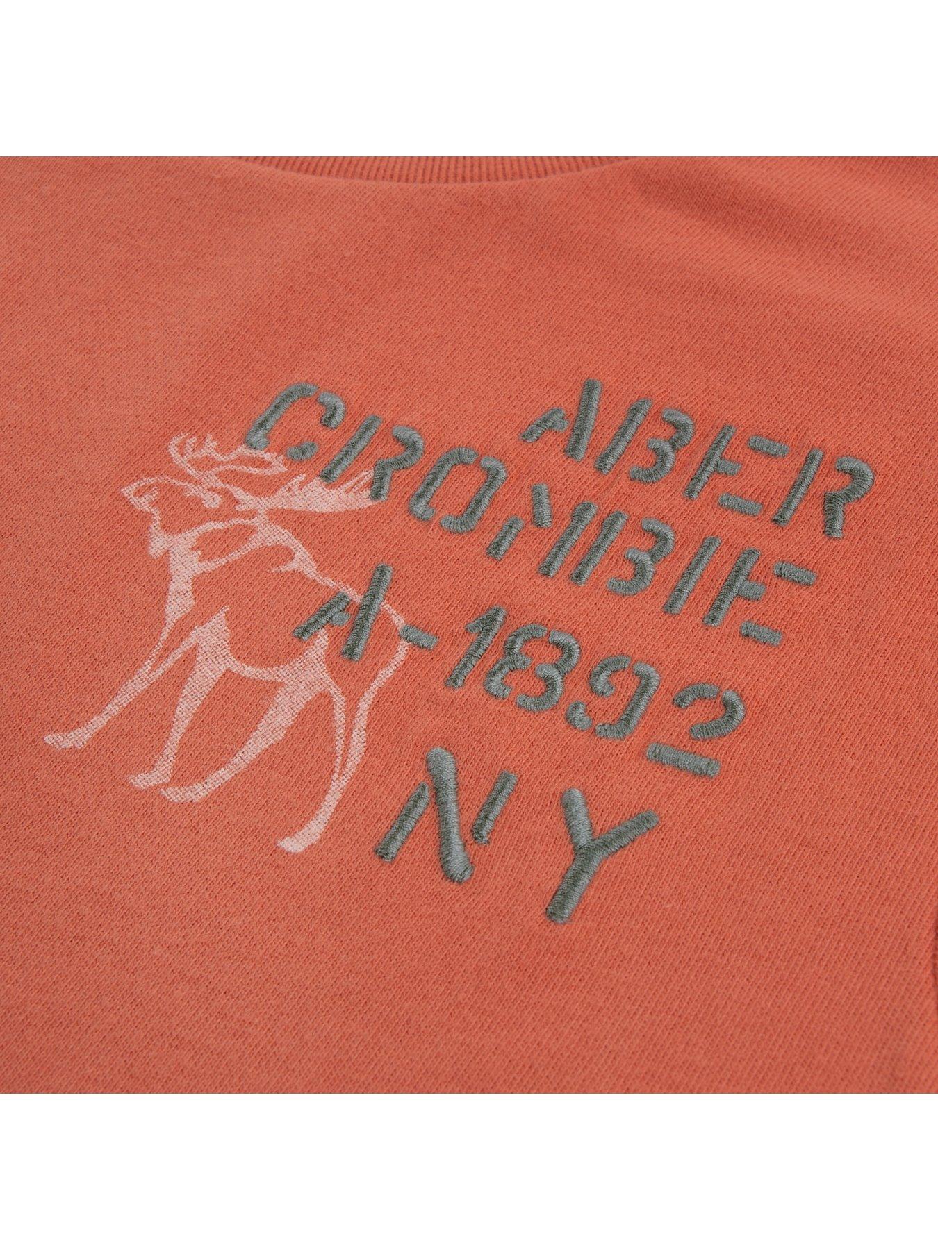 Image 3 of 3 of Abercrombie & Fitch Boys Throwback Moose Logo Short Sleeve T-Shirt - Orange
