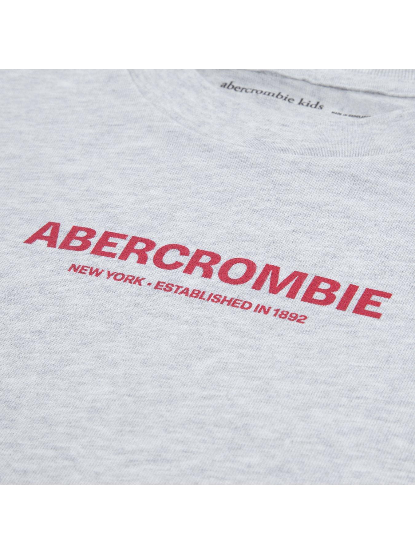 Image 4 of 4 of Abercrombie & Fitch Boys Graphic 2fer Long Sleeve T-shirt - Grey