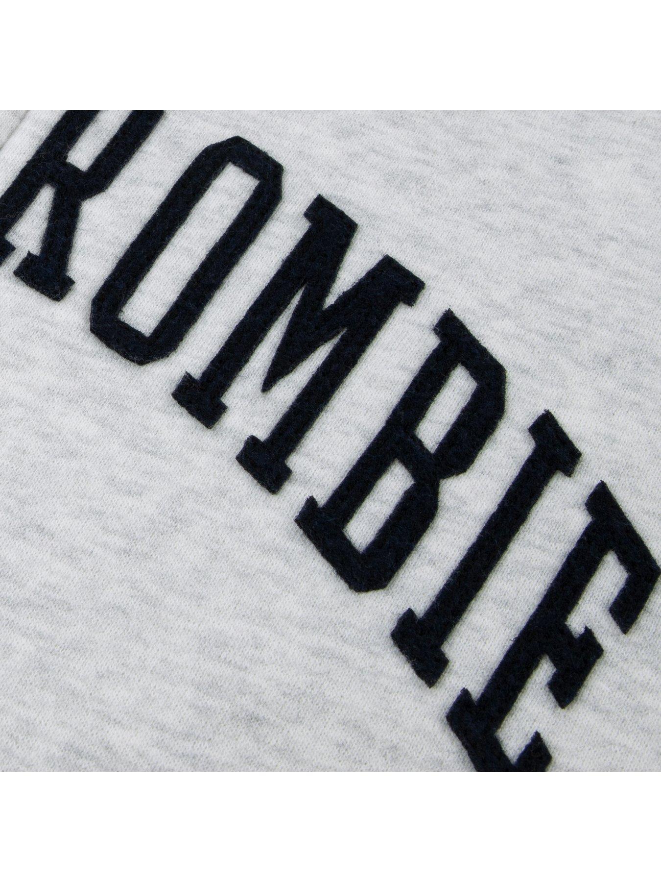 Image 3 of 3 of Abercrombie & Fitch Boys' Full Zip Logo Hoodie - Grey