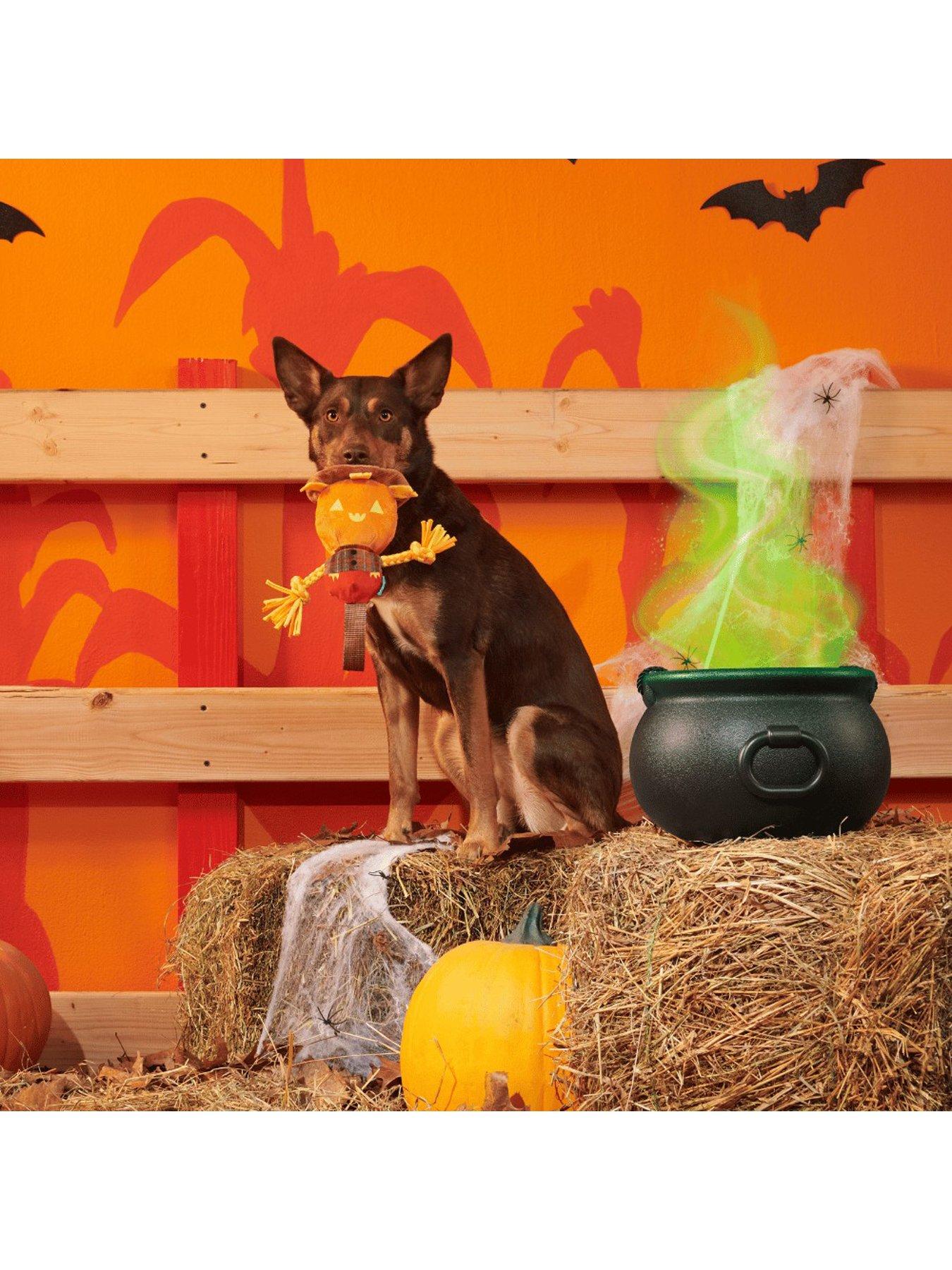 Image 2 of 3 of Bark Jack-Crow-Lantern  Dog Toy