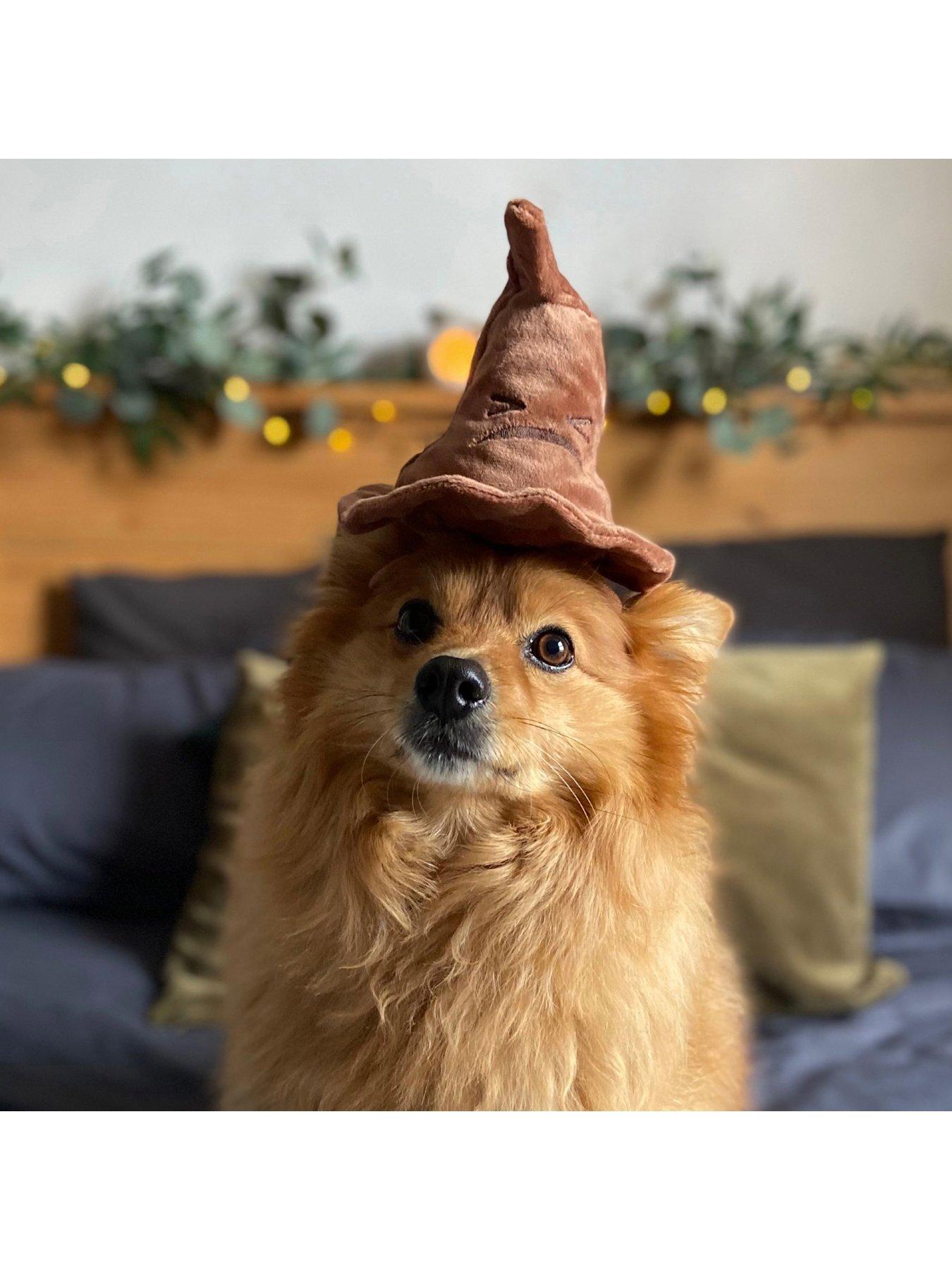 Image 1 of 7 of Bark Bark Sorting Hat  Dog Toy