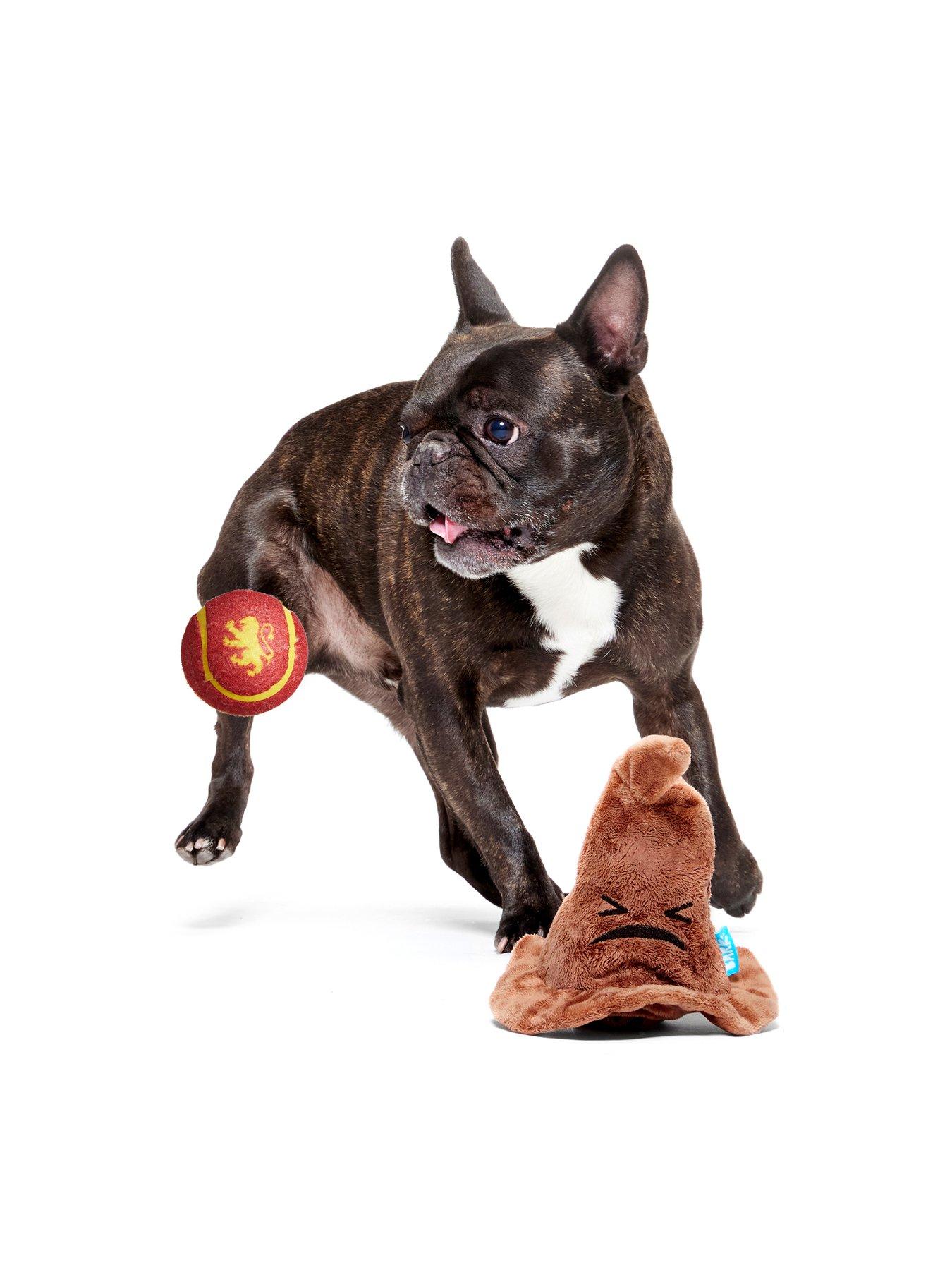 Image 6 of 7 of Bark Bark Sorting Hat  Dog Toy