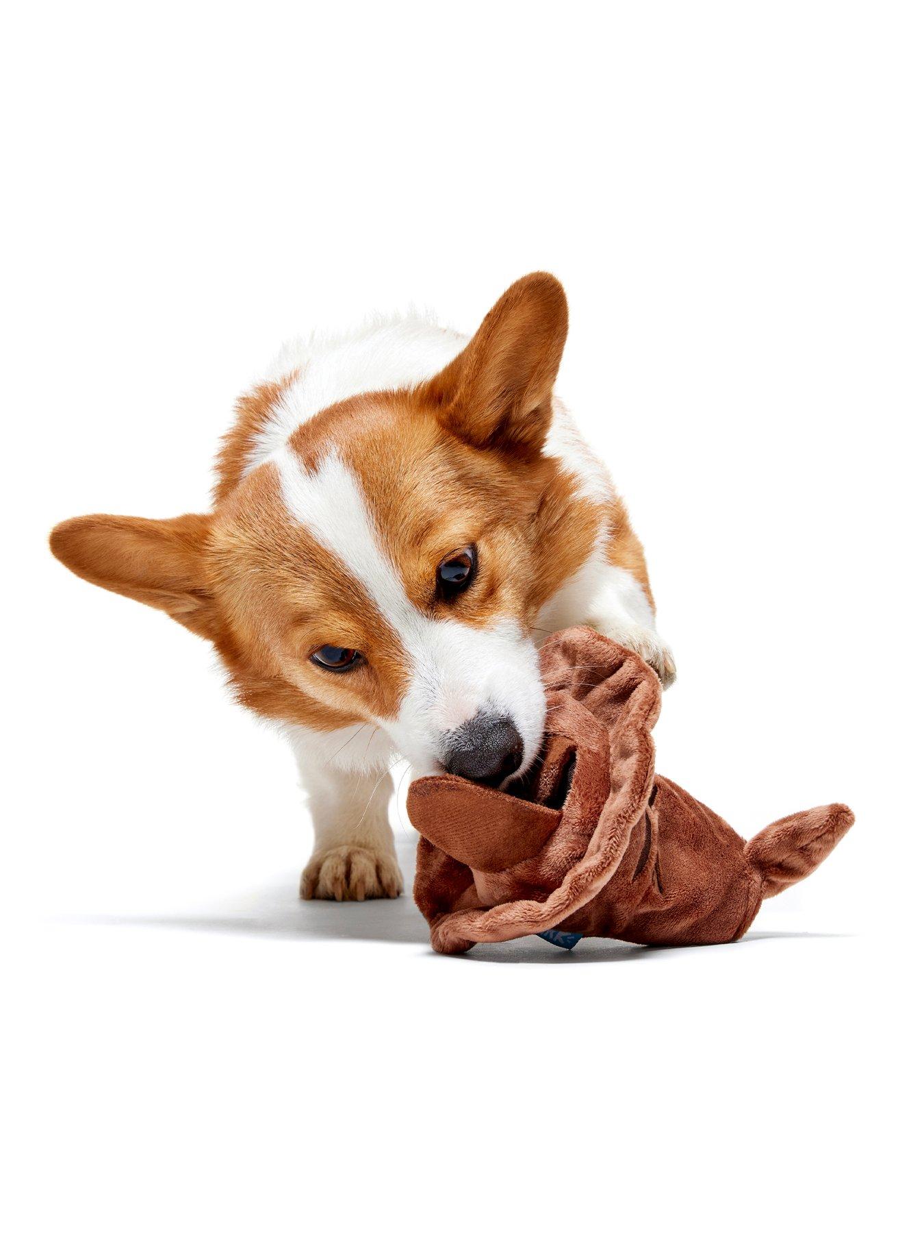 Image 7 of 7 of Bark Bark Sorting Hat  Dog Toy