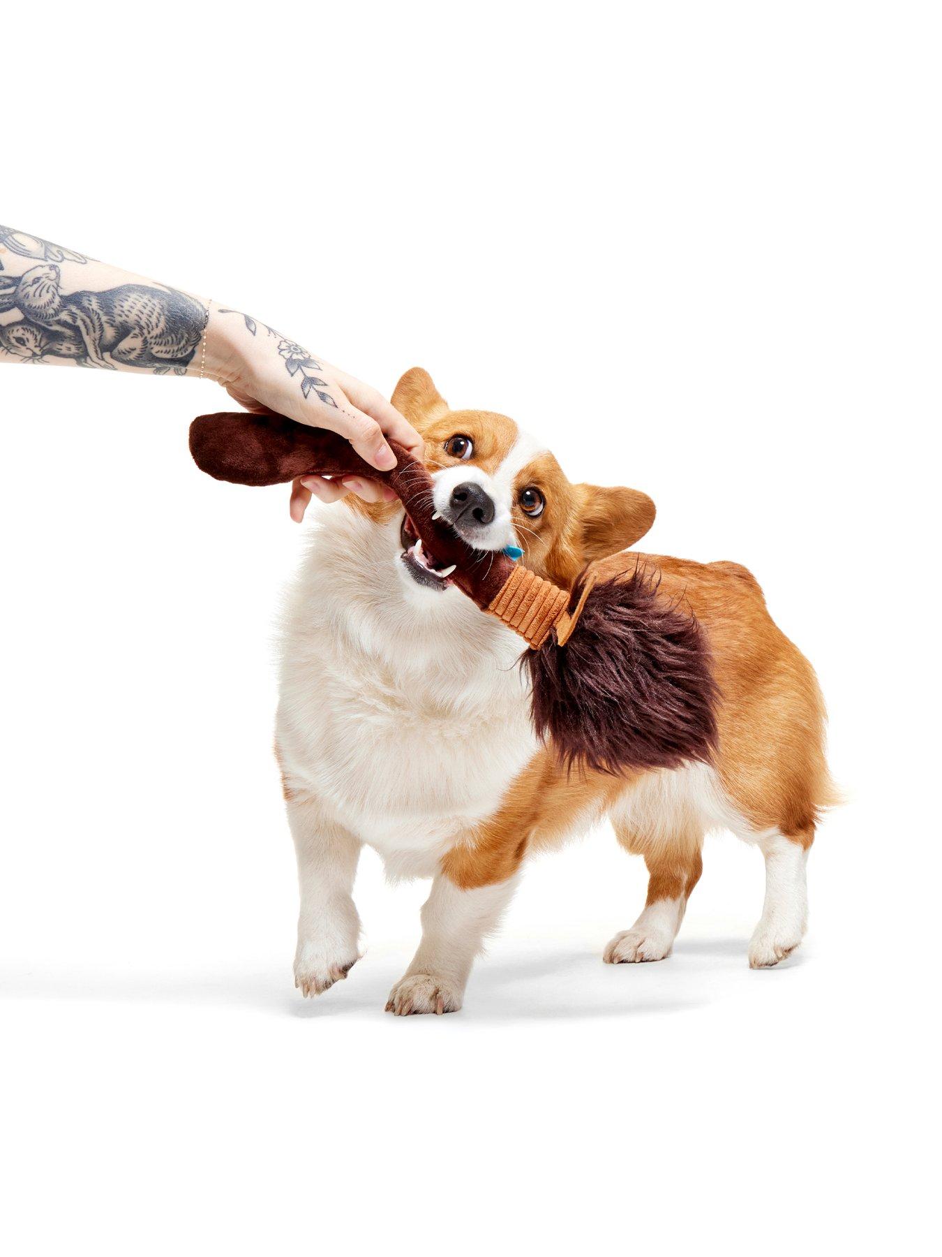 Image 3 of 4 of Bark Bark Nimbus 2000  Dog Toy