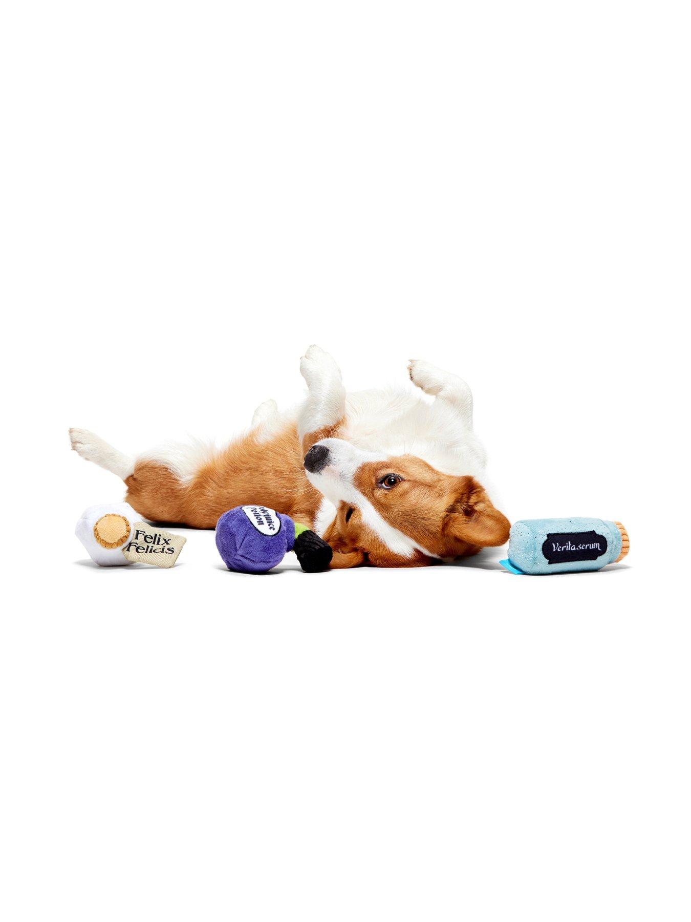 Image 4 of 4 of Bark Bark Potions Pack Up  Dog Toy