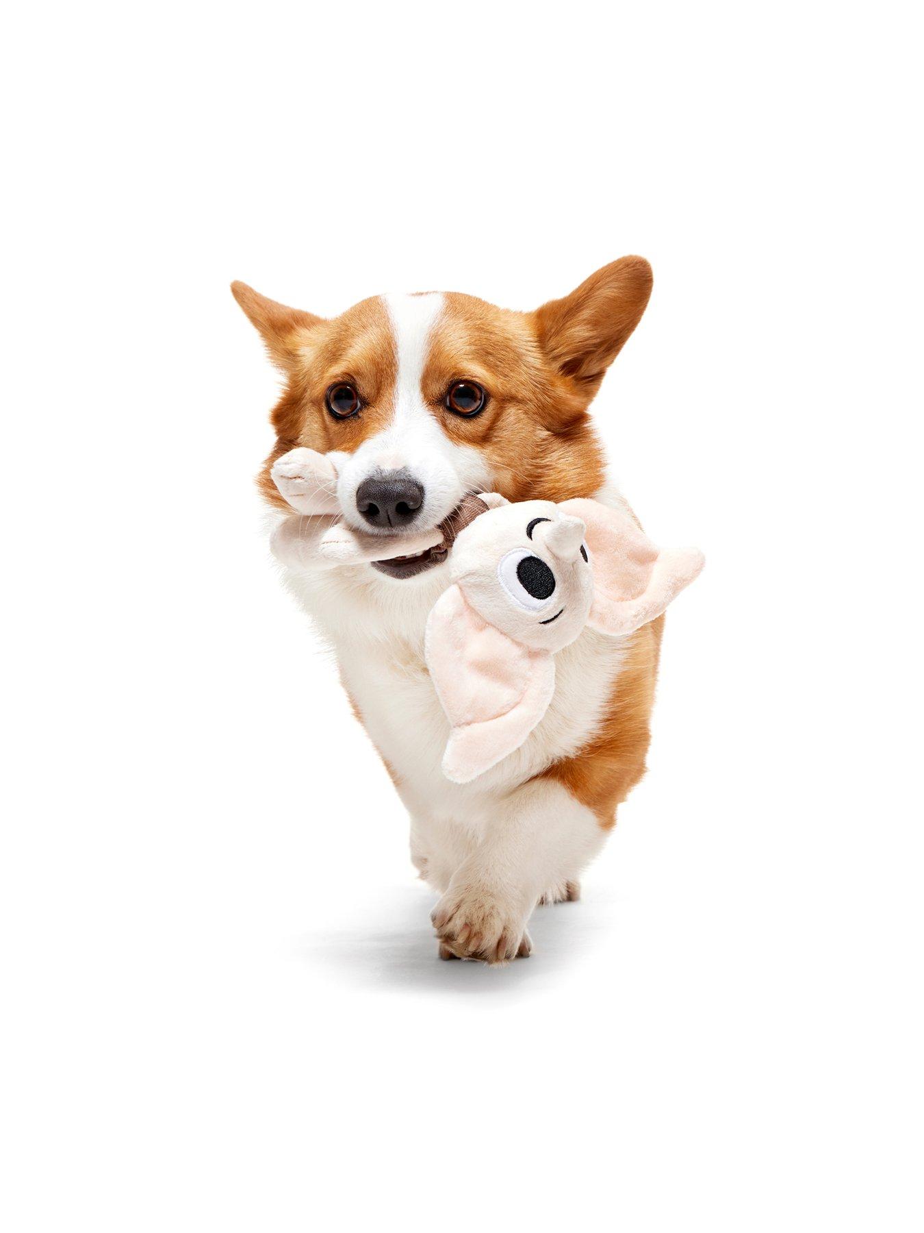 Image 5 of 5 of Bark Bark Dobby  Dog Toy