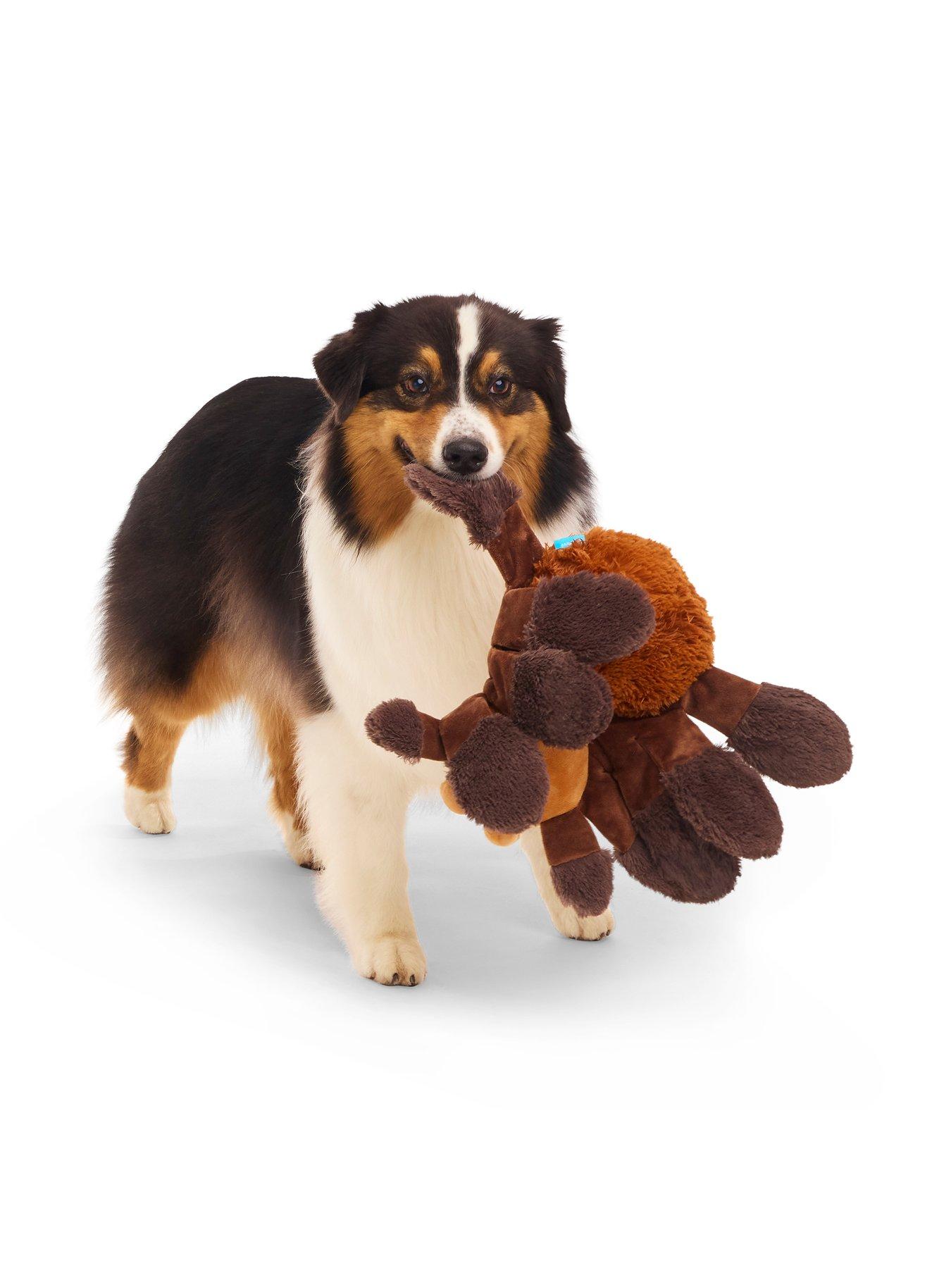 Image 5 of 5 of Bark Bark Aragog  Dog Toy