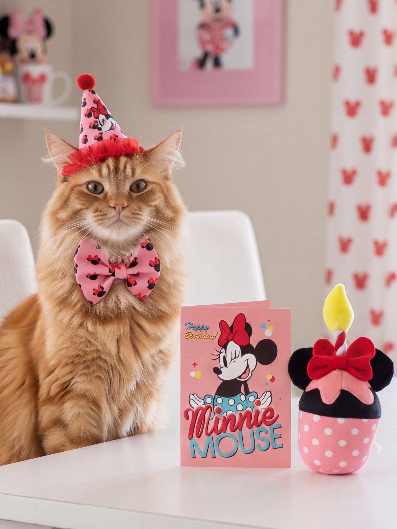 Minnie Mouse Minnie Birthday Set