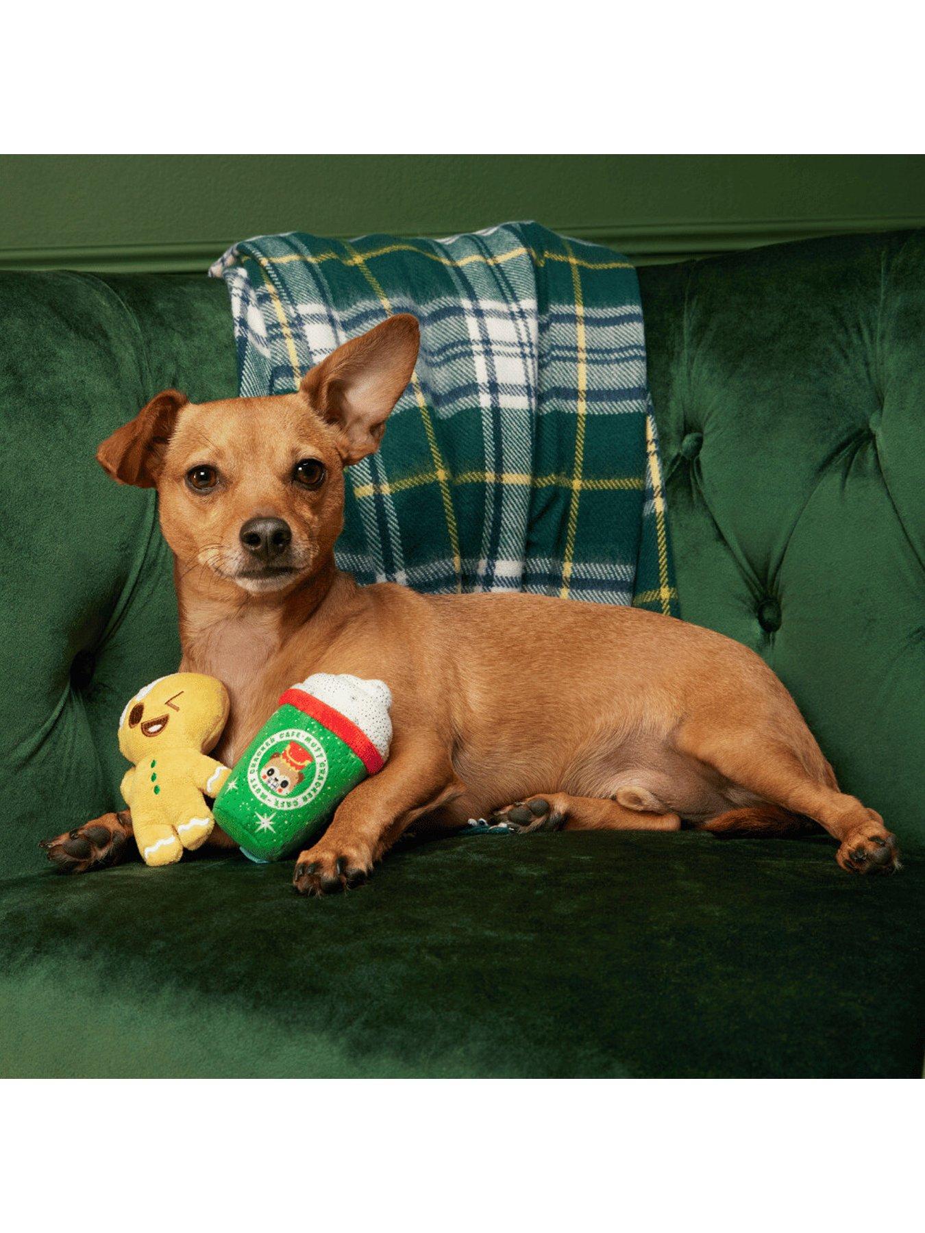 Image 2 of 2 of Bark BARK Xmas Ginger Boy Brew