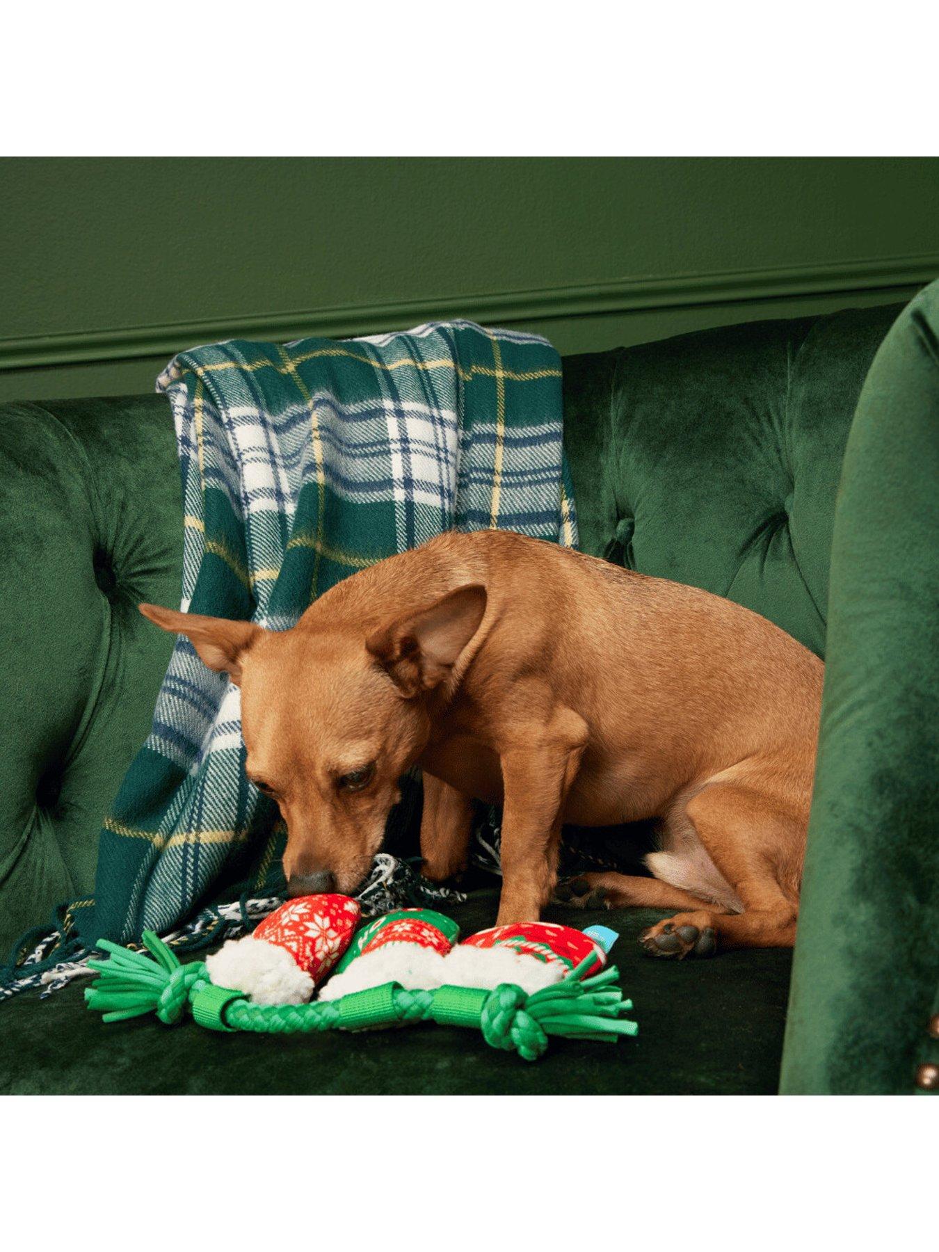 Image 3 of 3 of Bark BARK Xmas Stocking Tuggers