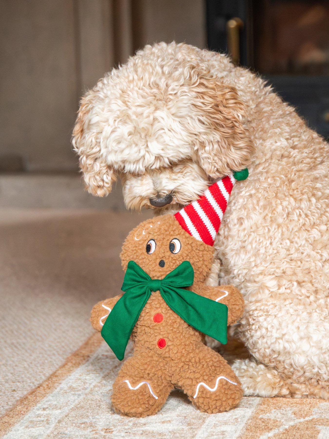 Image 7 of 7 of Rosewood Natural Selection Gift Box For Dogs/George Gingerbread man Toy