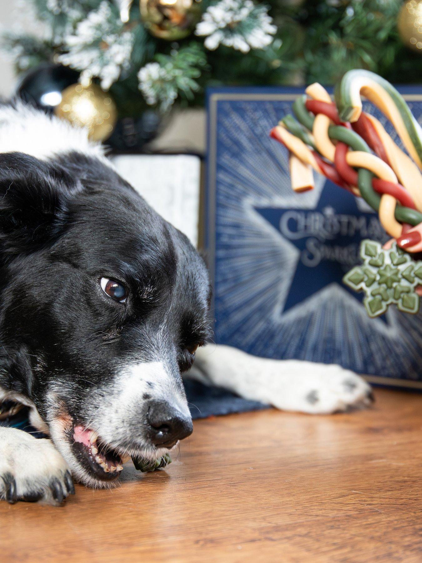 Image 4 of 7 of Rosewood Dogs Rawhide Free Gift Box/Cosmo Christmas Tree Toy