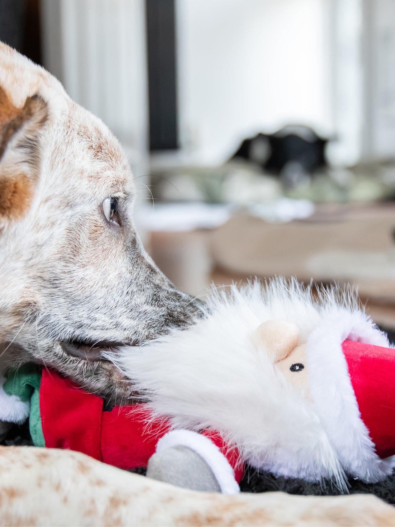 Image 5 of 6 of Rosewood Sebastian Santa
