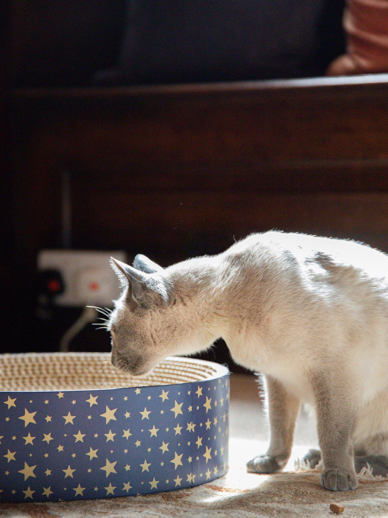Image 4 of 7 of Rosewood Festive Cardboard Scratcher