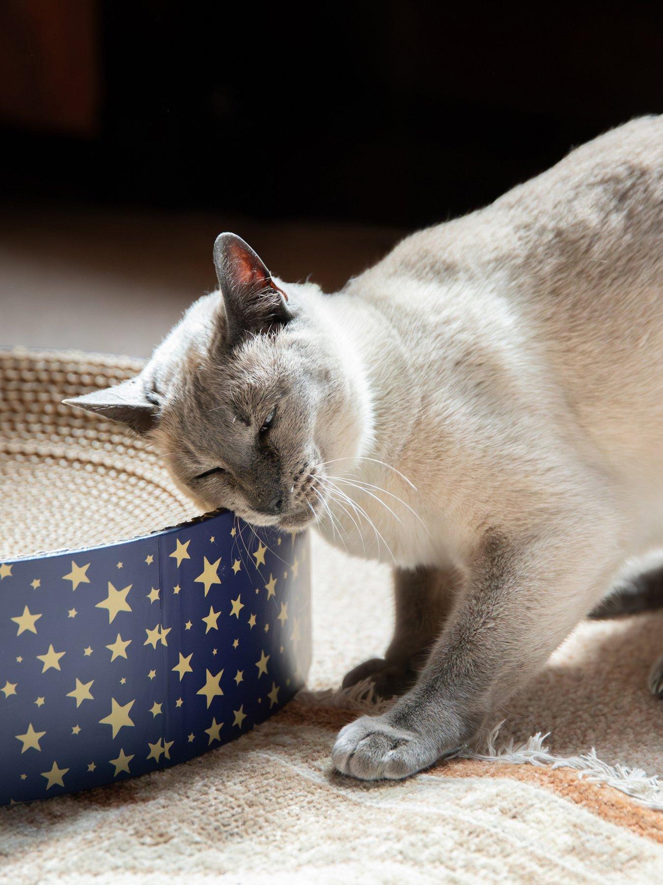 Image 5 of 7 of Rosewood Festive Cardboard Scratcher