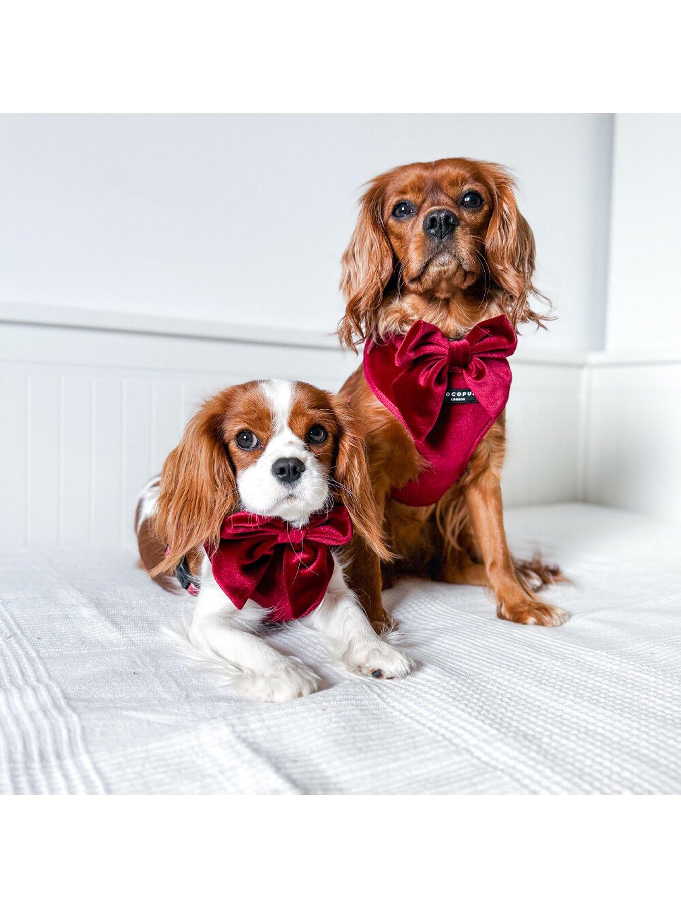 Image 2 of 3 of Cocopup Cocopup Berry Red SAILOR BOW TIE