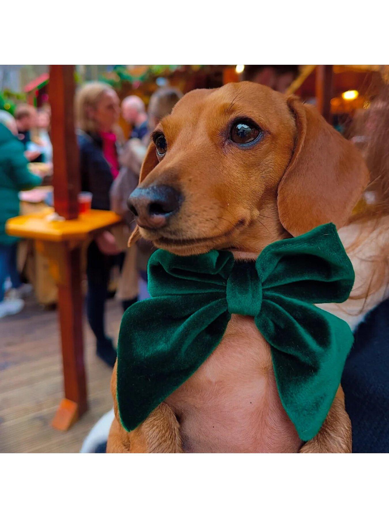 Image 2 of 2 of Cocopup Velvet Sailor Bow Tie - Forest Green