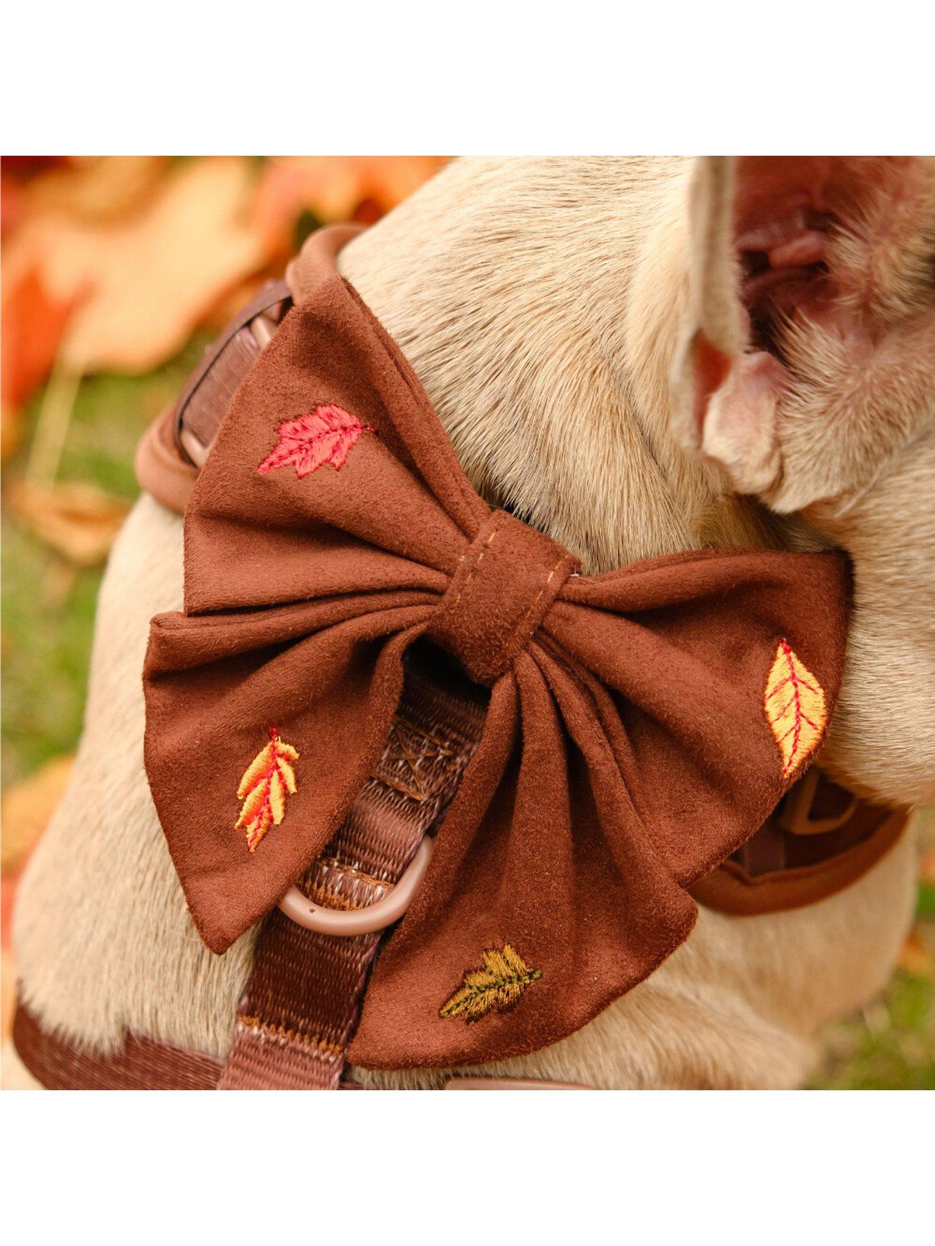 Image 3 of 4 of Cocopup Pawtumn Leaves Sailor Bow Tie