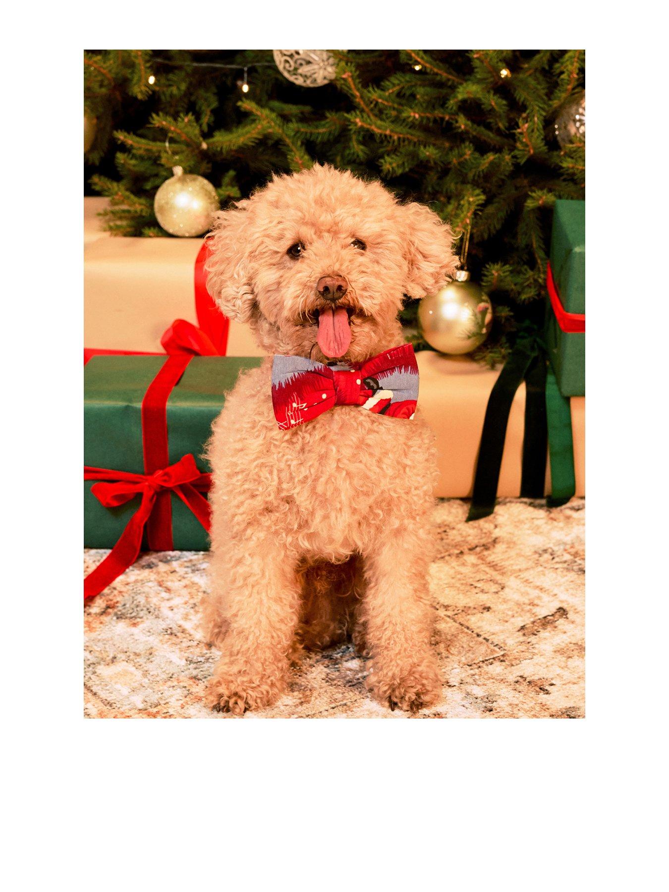 Chelsea Peers Chelsea Peers Pets Organic Cotton Musical Santa's Songbook Print Bow Tie - Red