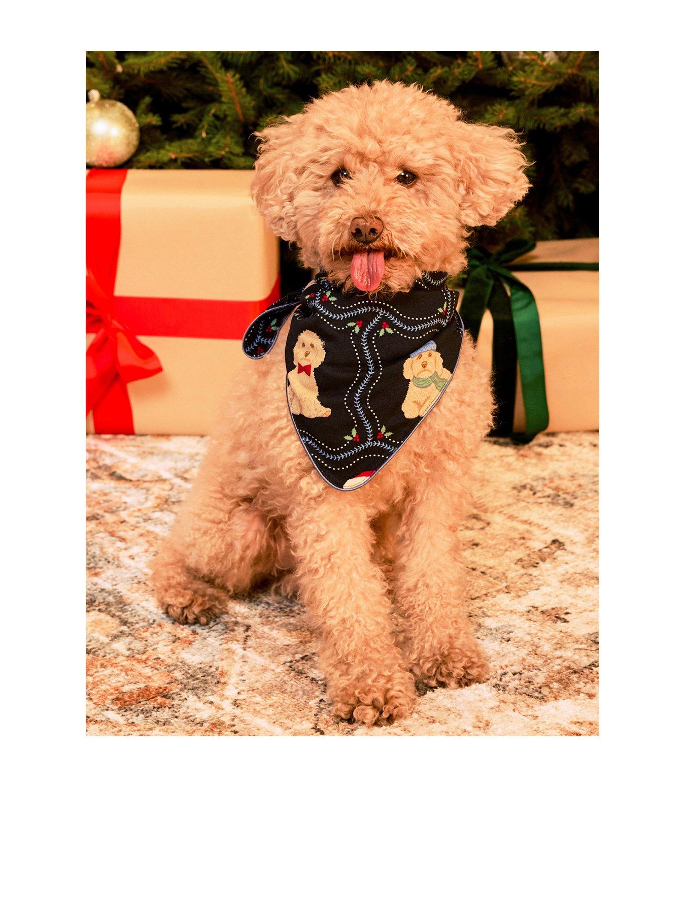 Chelsea Peers Womens Pets Christmas Chip The Cockapoo Print Neckerchief - Dark Blue
