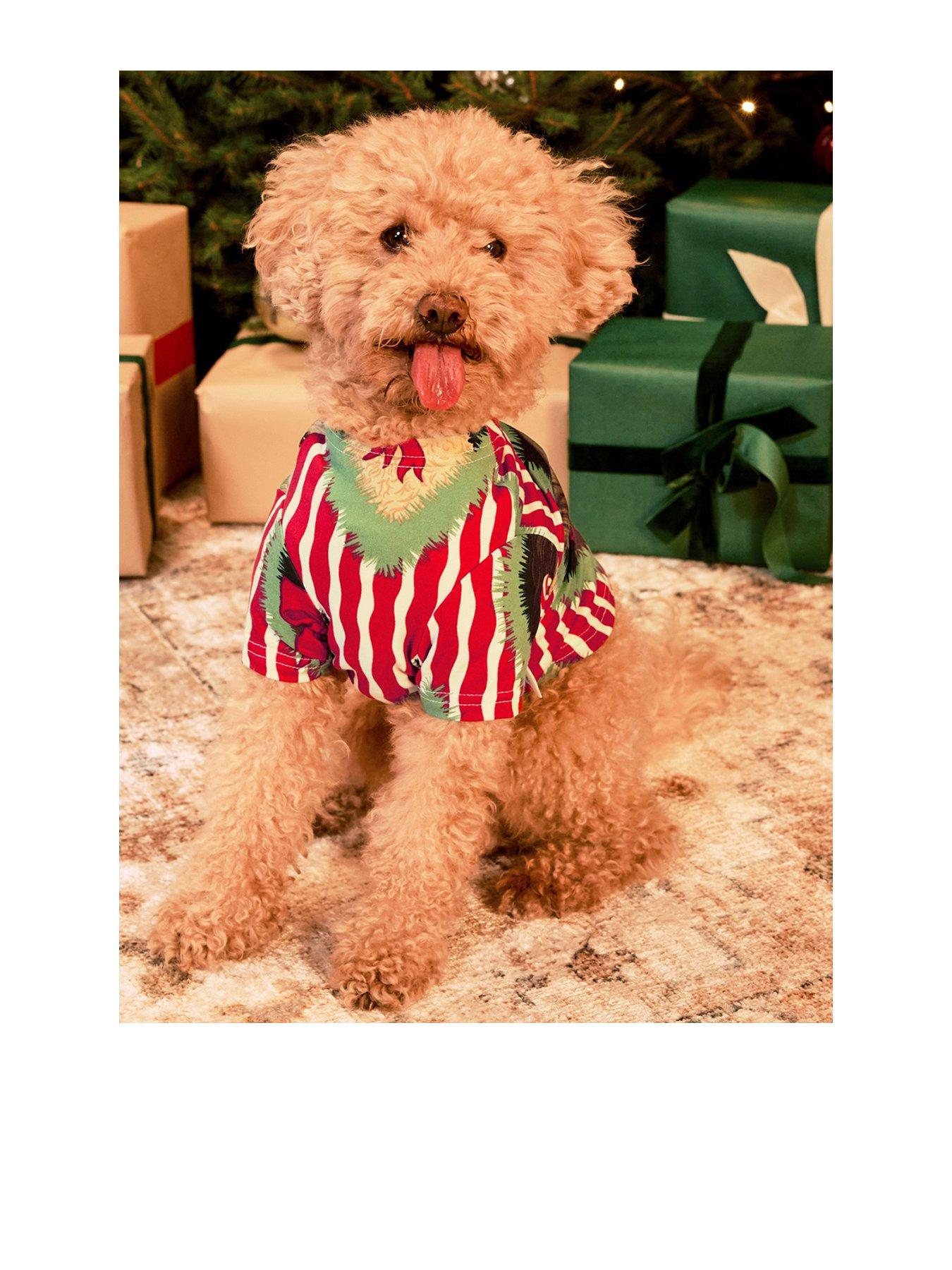 Chelsea Peers Chelsea Peers Pets Christmas Chip & Friends Stripe Print Pyjama T-Shirt - Red