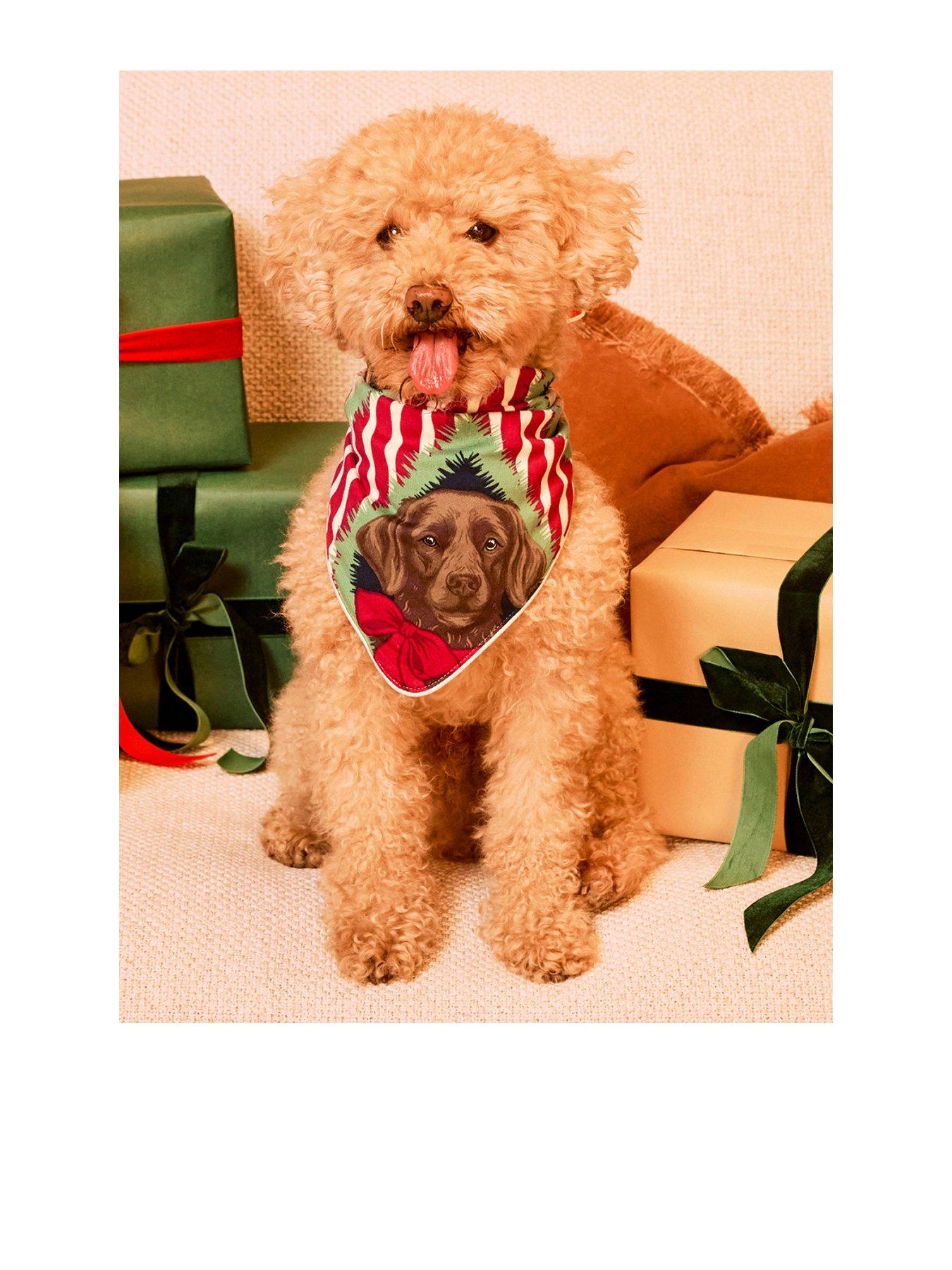 Chelsea Peers Christmas Pets Chip & Friends Stripe Print Neckerchief - Red