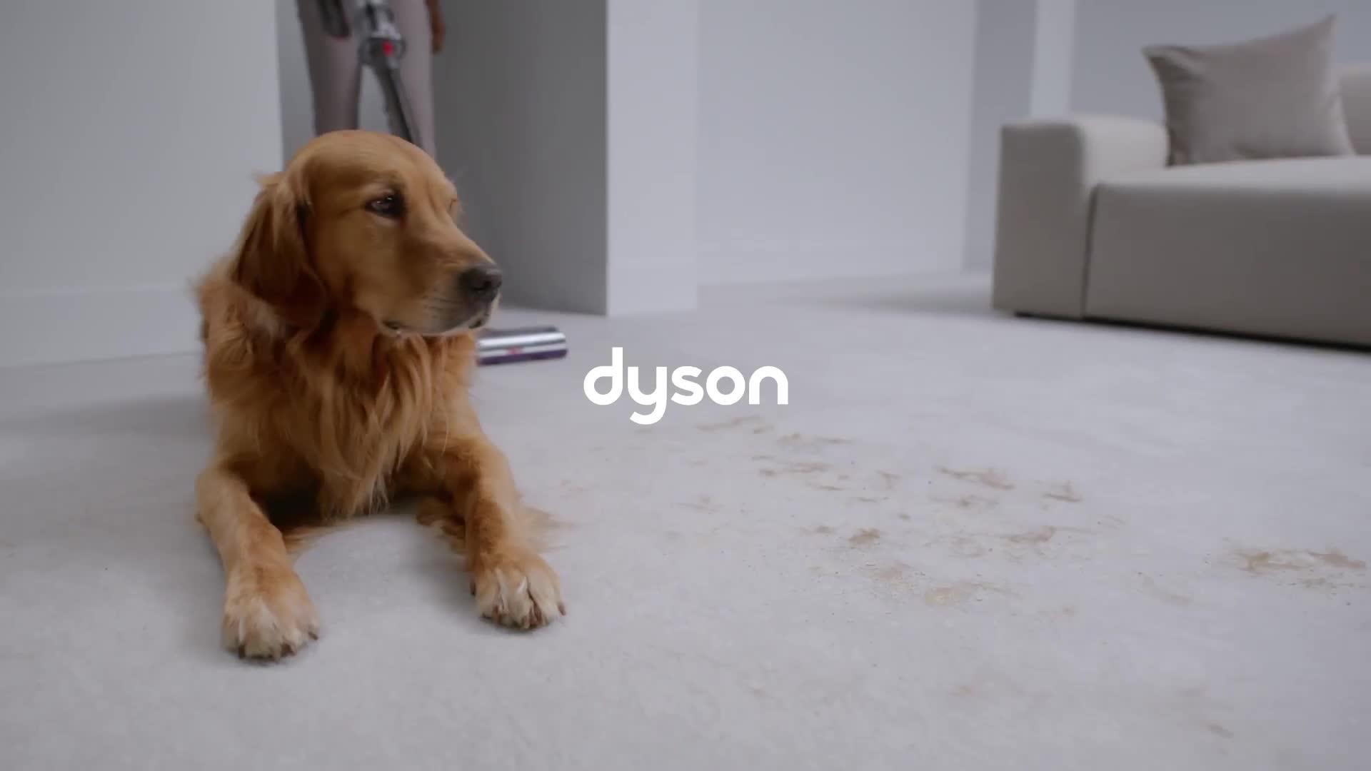 Image thumbnail 7 of 7 of Dyson V15 Detect&trade; Absolute Vacuum Cleaner