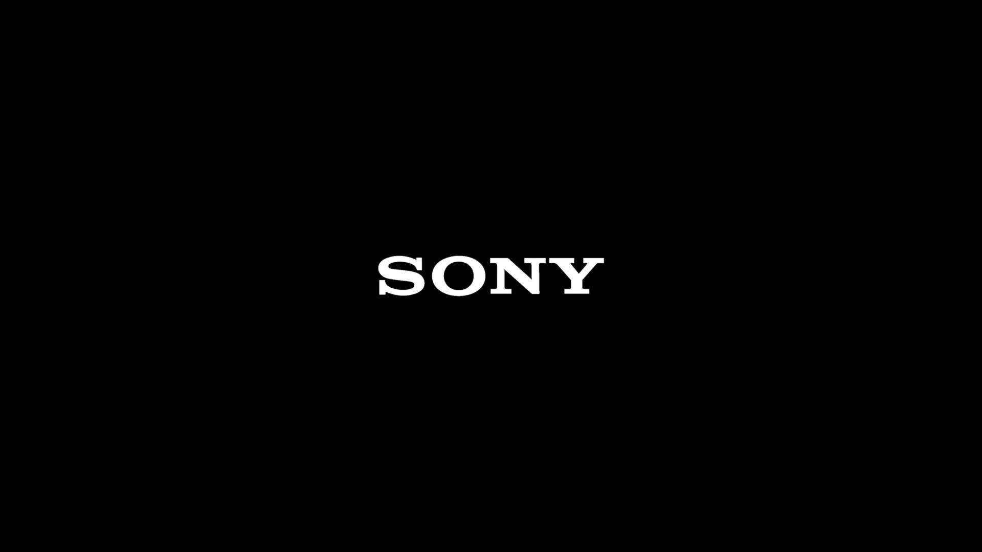 Image thumbnail 8 of 8 of Sony E 11 mm F1.8 , APS-C Wide Angle Prime Lens (SEL11F18)