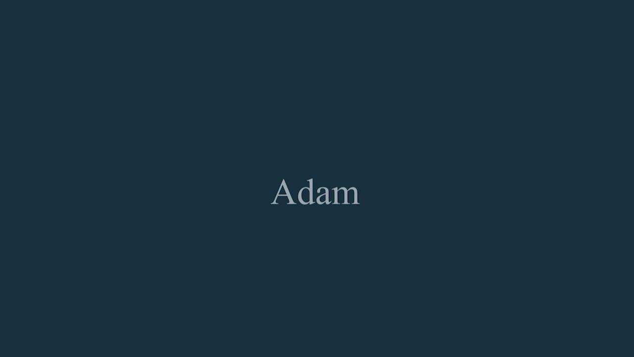 Image thumbnail 8 of 8 of Adam Fires & Fireplaces Adam Sahara Electric Inset Media Wall Fire with Remote Control, 1500mm