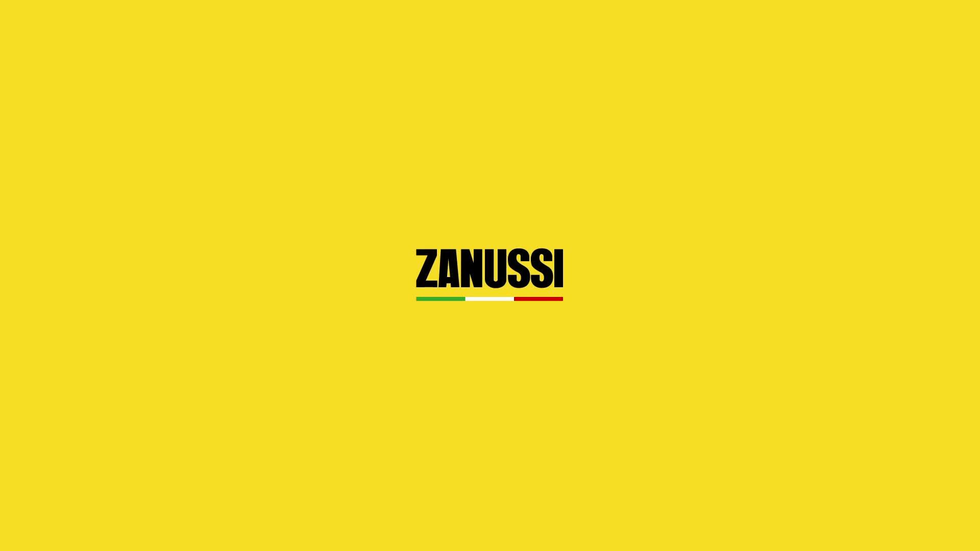 Image thumbnail 8 of 8 of Zanussi Black Painted Wood Pellet Black Pizza Oven With Paddle &amp; Cover