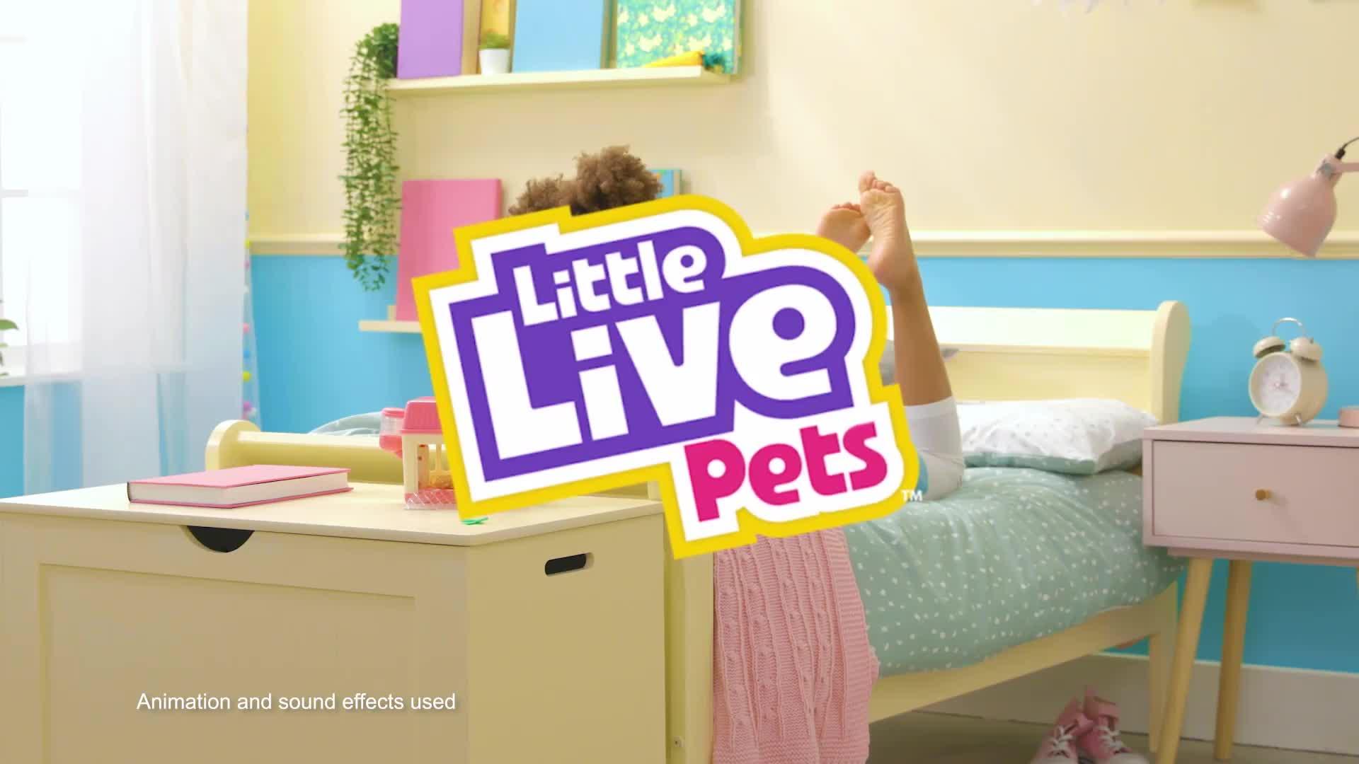 Little Live Pets - LIL' HEDGEHOG - DOUGH-ANNA - Interactive Pet