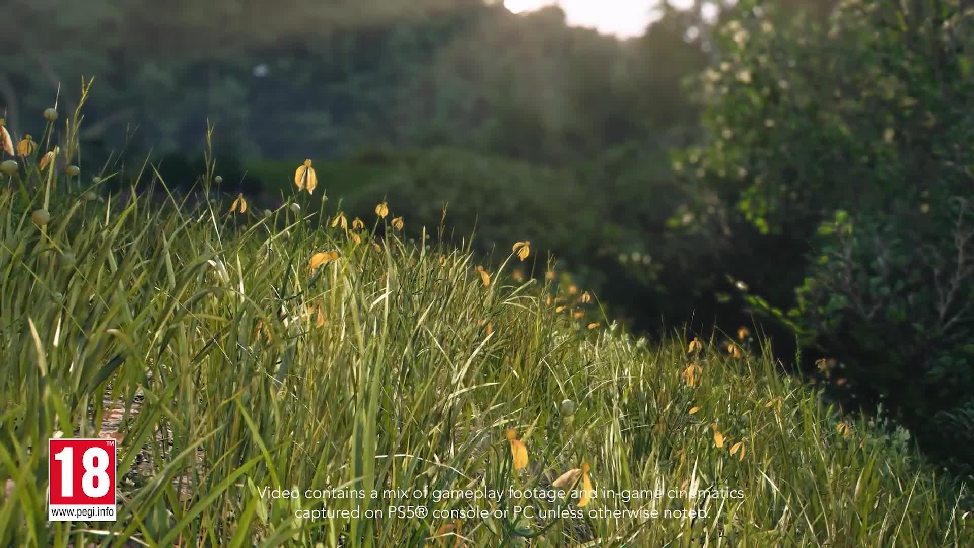 Image thumbnail 7 of 7 of Xbox Series X Assassin&rsquo;s Creed Shadows