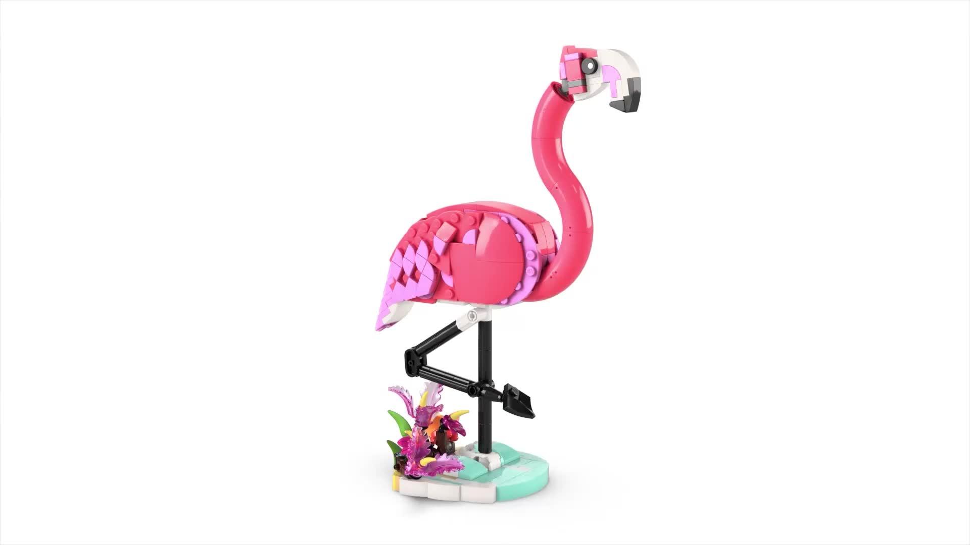 Image thumbnail 8 of 8 of LEGO Creator 3in1 Wild Animals: Pink Flamingo 31170