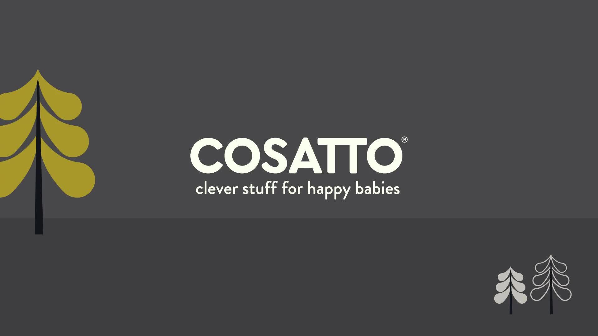 Image thumbnail 8 of 8 of Cosatto All in All 360 Car Seat - Foxed