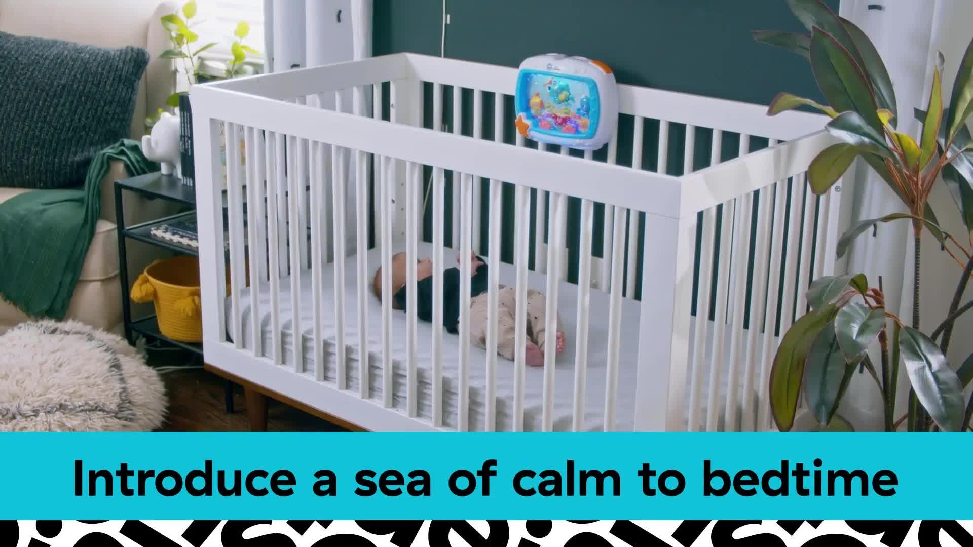 Image thumbnail 8 of 8 of Baby Einstein Baby Einstein Sea Dreams Soother Sleep Soother