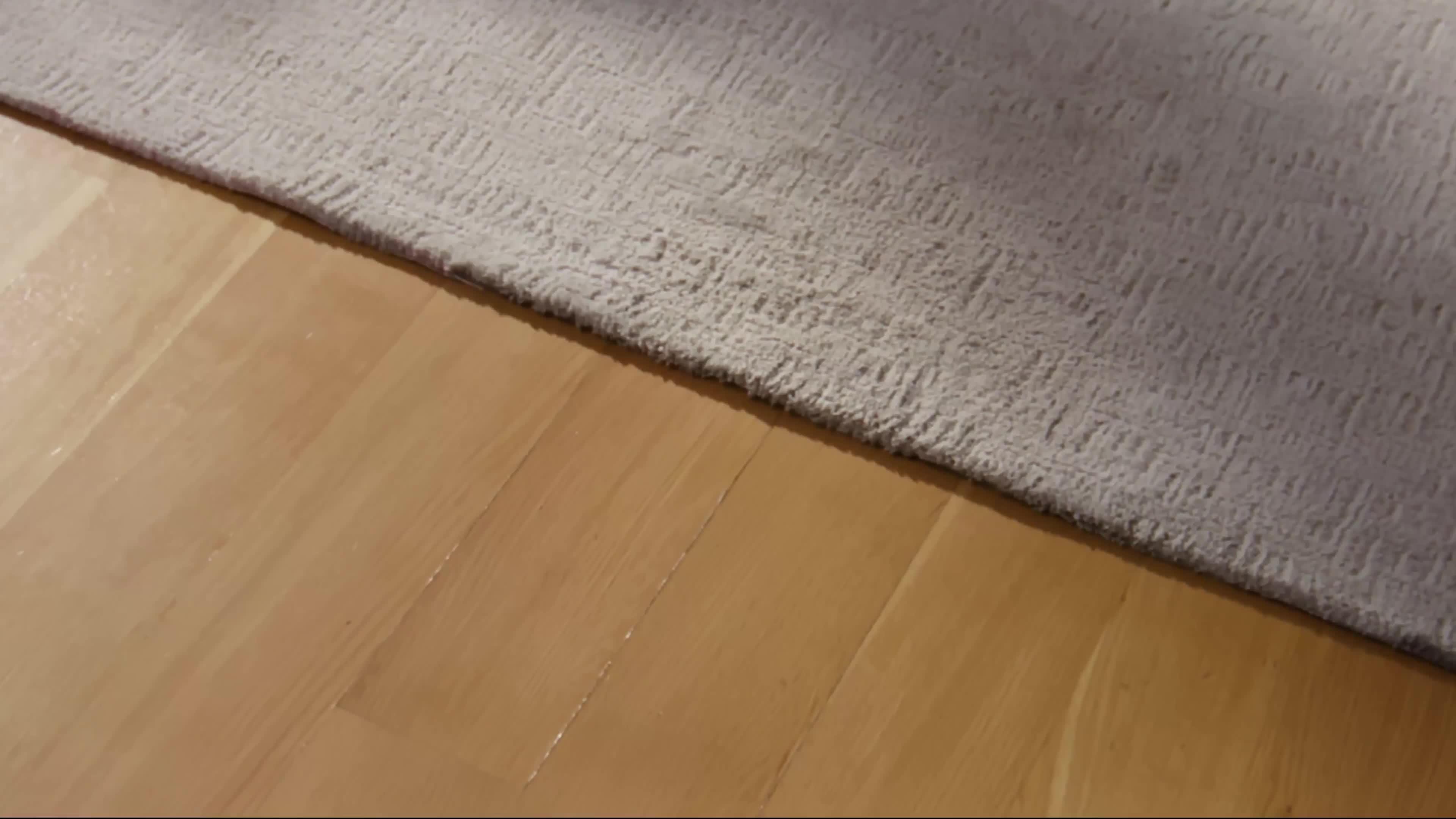 Image thumbnail 8 of 8 of Shark EveryMess Portable 3-in-1 Stain Eliminator, Wet Vac &amp; Dry Vac - VX110UK