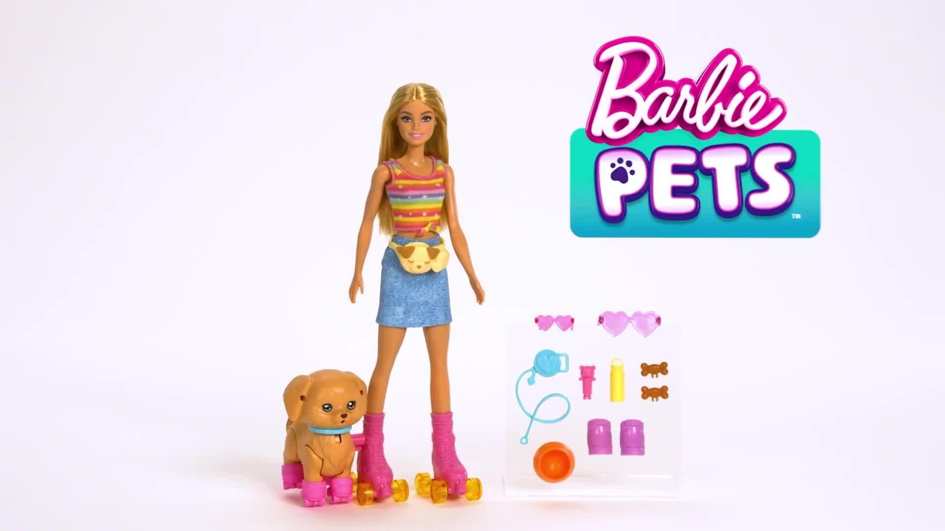 Image thumbnail 8 of 8 of Barbie <p>Skate and Run Pup Doll with Skating Puppy, Roller Skates and Pet Accessories</p>