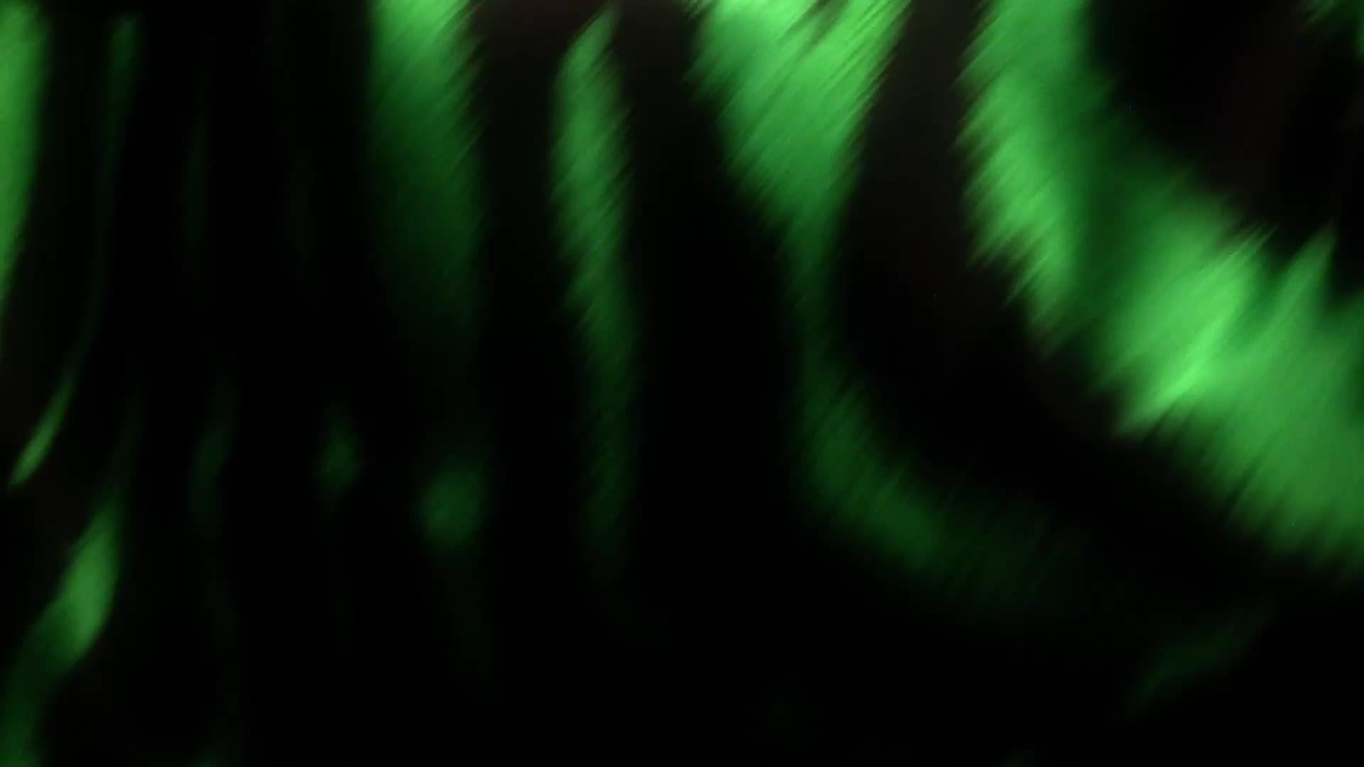 Image thumbnail 7 of 7 of Roberto Cavalli Roberto Cavalli Uomo Verde Assoluto Eau de Parfum 100ml