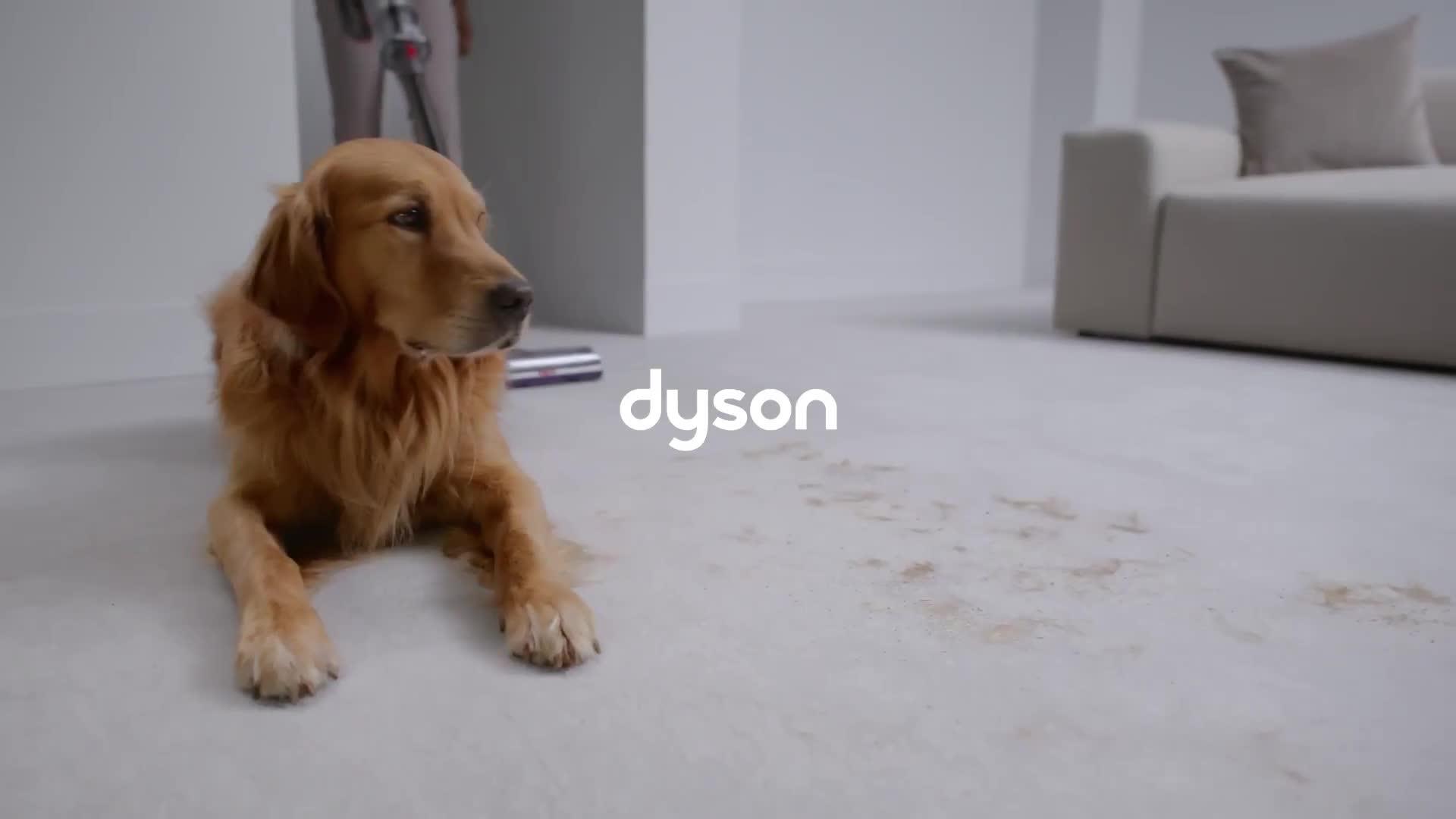 Image thumbnail 8 of 8 of Dyson V15 Detect